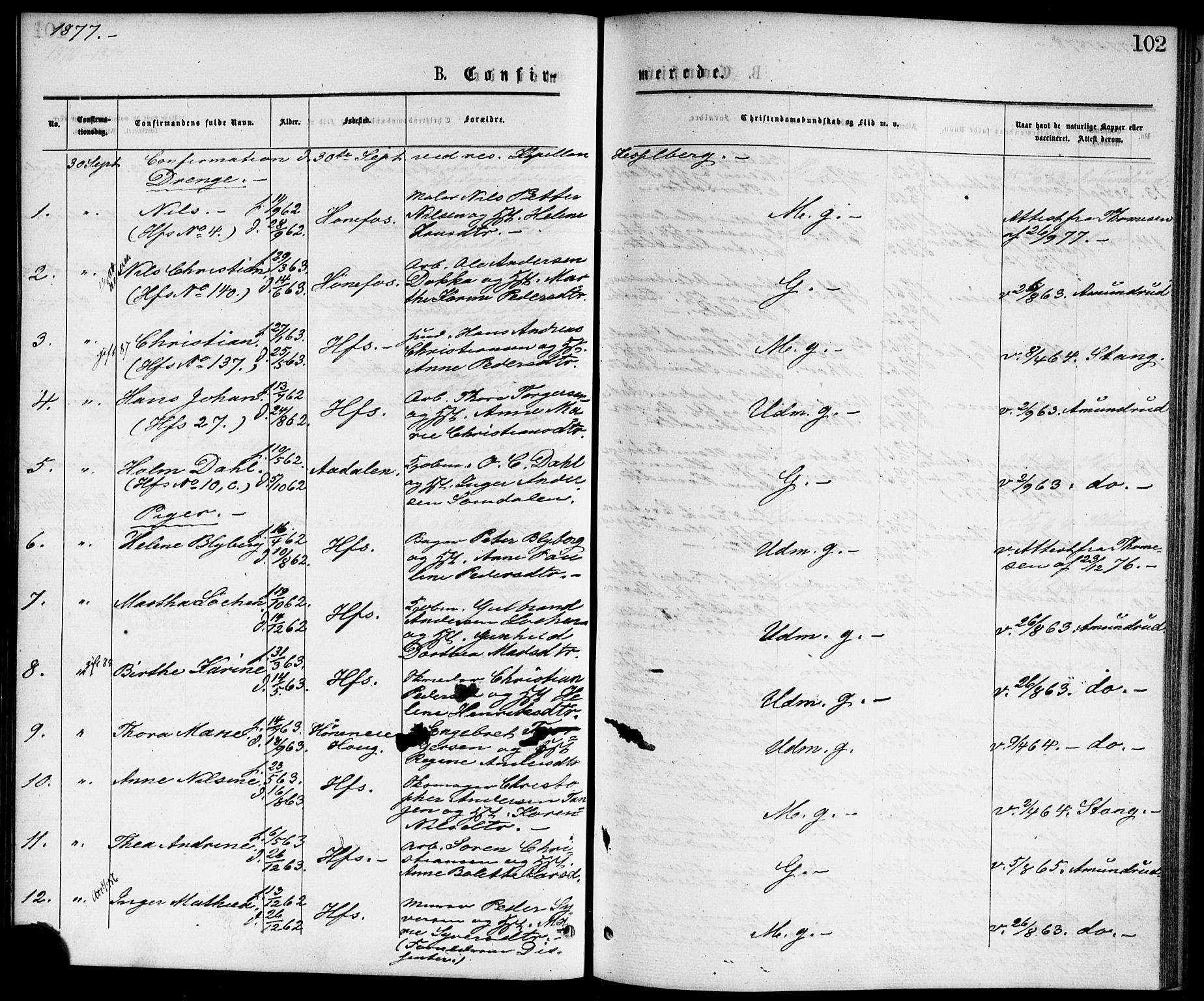 Hønefoss kirkebøker, AV/SAKO-A-609/F/Fa/L0001: Parish register (official) no. 1, 1875-1887, p. 102