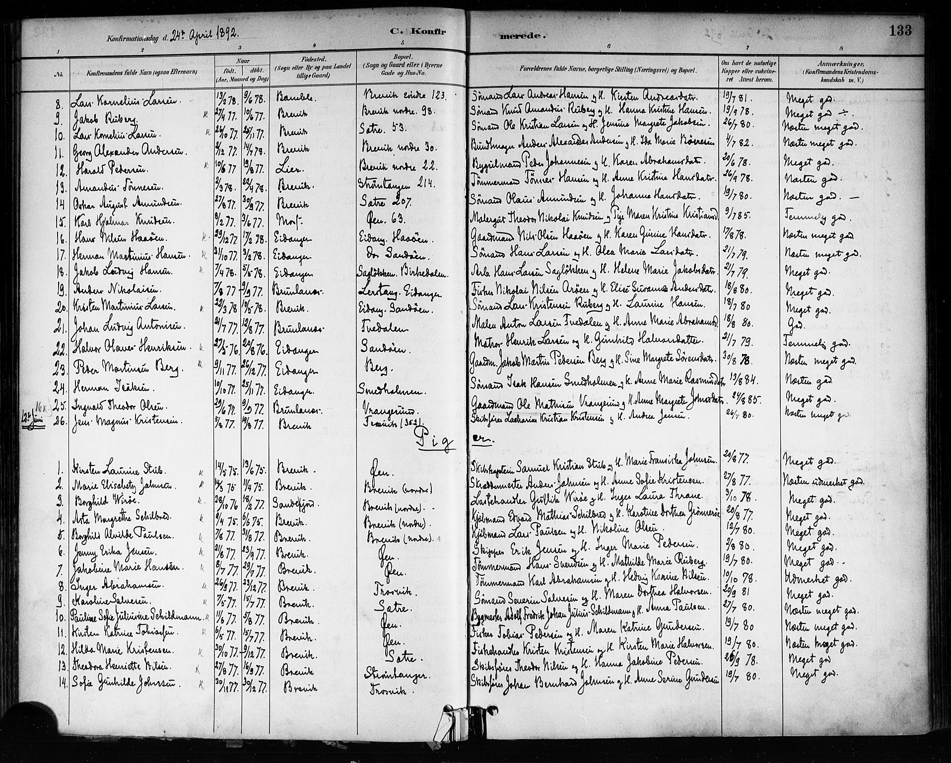 Brevik kirkebøker, SAKO/A-255/F/Fa/L0007: Parish register (official) no. 7, 1882-1900, p. 133