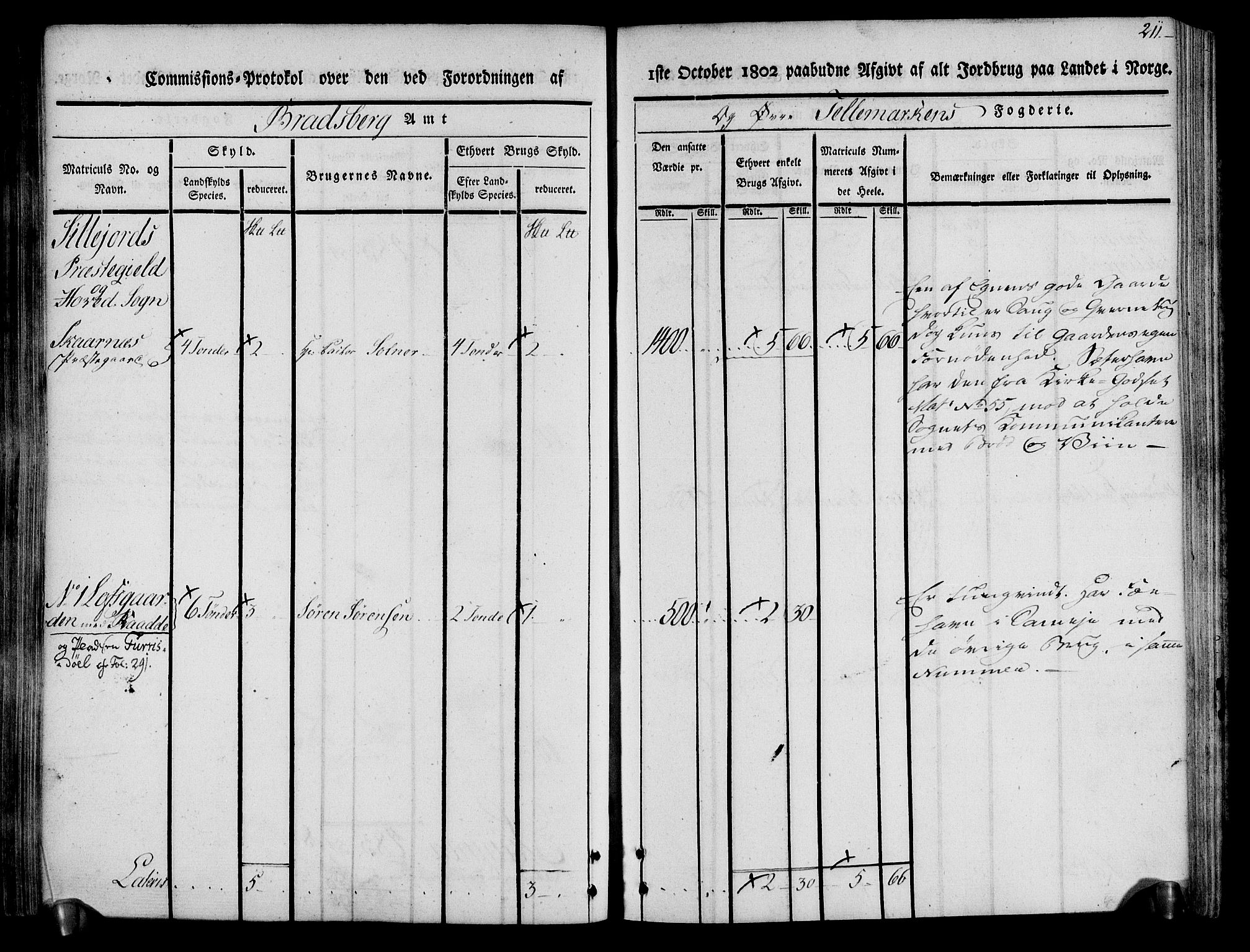 Rentekammeret inntil 1814, Realistisk ordnet avdeling, AV/RA-EA-4070/N/Ne/Nea/L0074: Øvre Telemarken fogderi. Kommisjonsprotokoll for fogderiets østre del - Tinn, Hjartdal og Seljord prestegjeld., 1803, p. 211