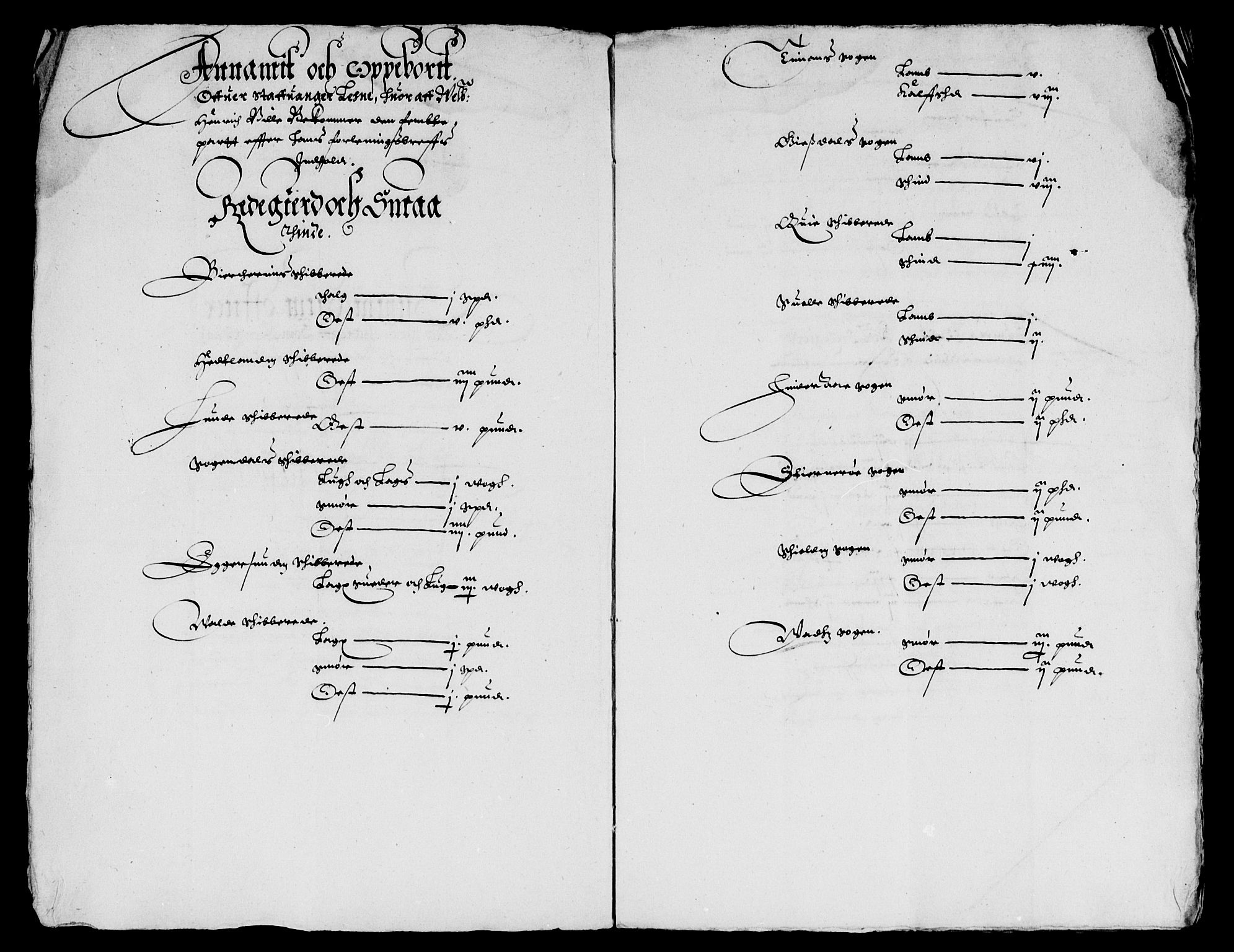 Rentekammeret inntil 1814, Reviderte regnskaper, Lensregnskaper, AV/RA-EA-5023/R/Rb/Rbs/L0013: Stavanger len, 1628-1629