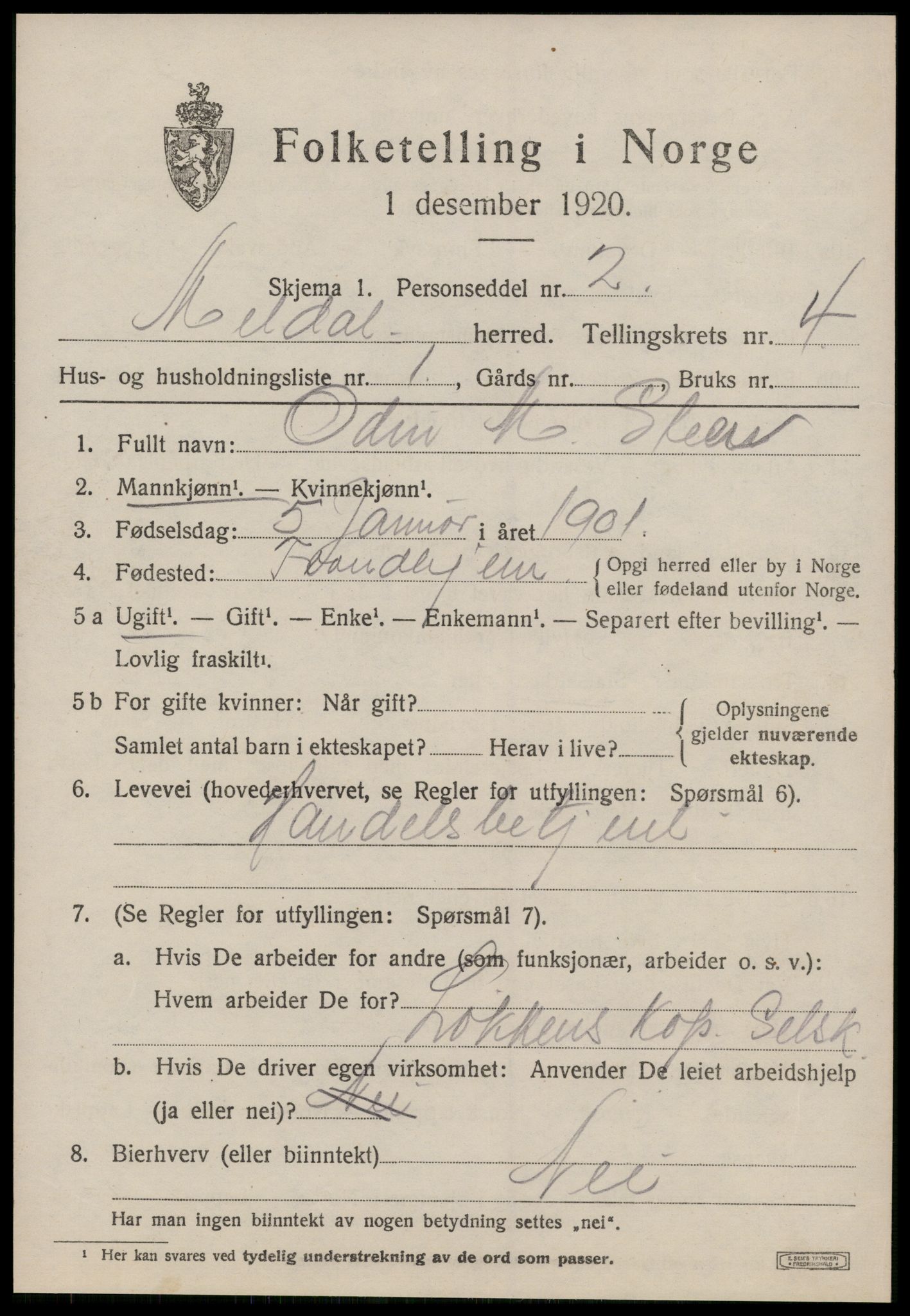 SAT, 1920 census for Meldal, 1920, p. 3633