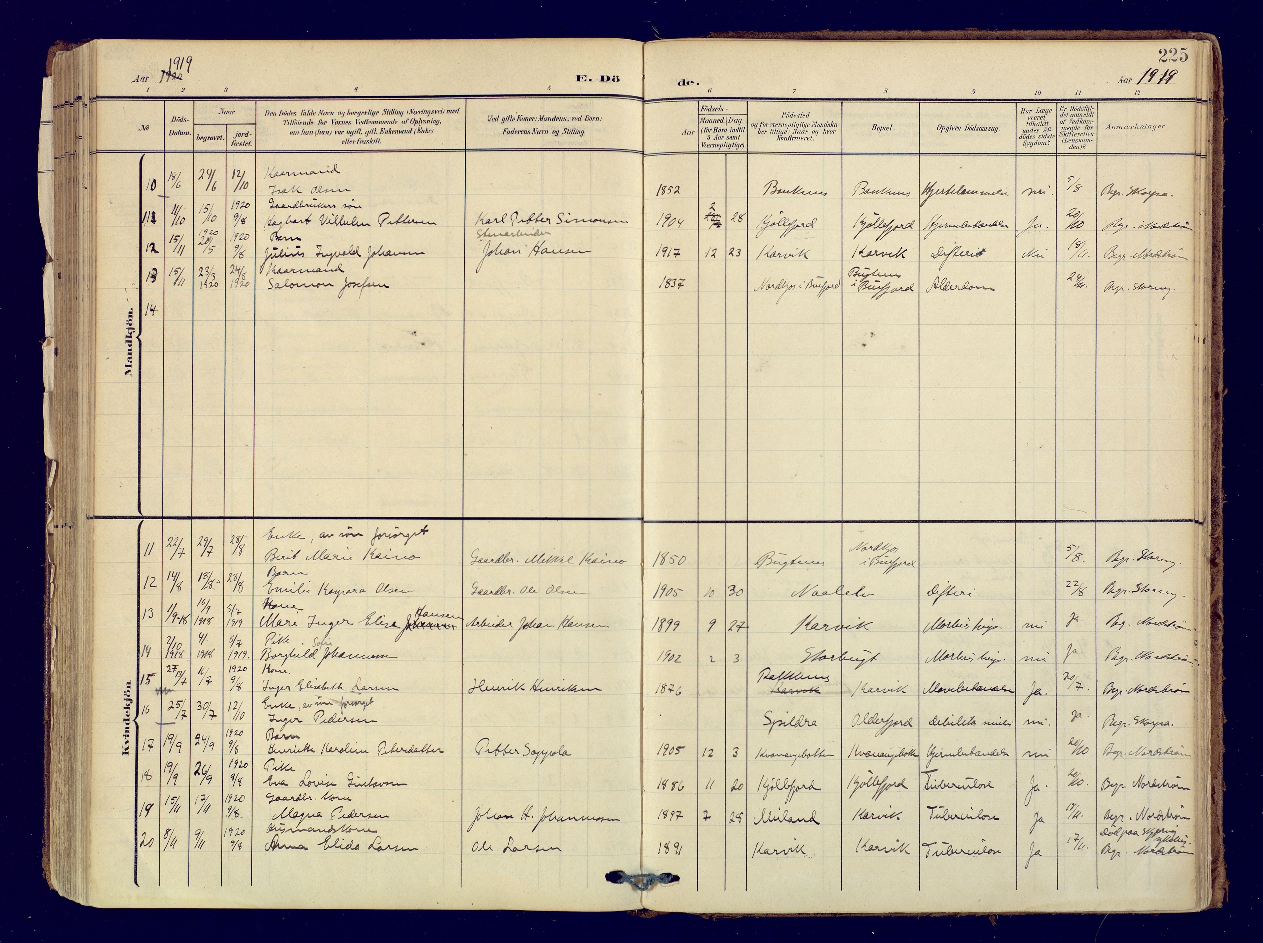 Skjervøy sokneprestkontor, AV/SATØ-S-1300/H/Ha/Haa: Parish register (official) no. 19, 1908-1936, p. 225