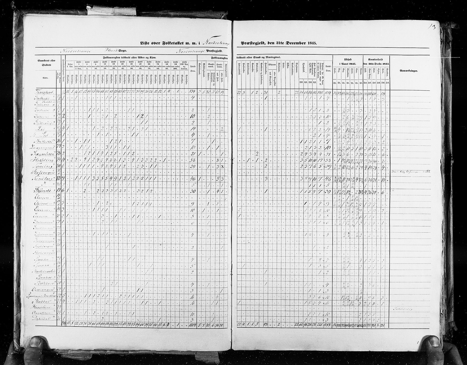 RA, Census 1845, vol. 4: Buskerud amt og Jarlsberg og Larvik amt, 1845, p. 13