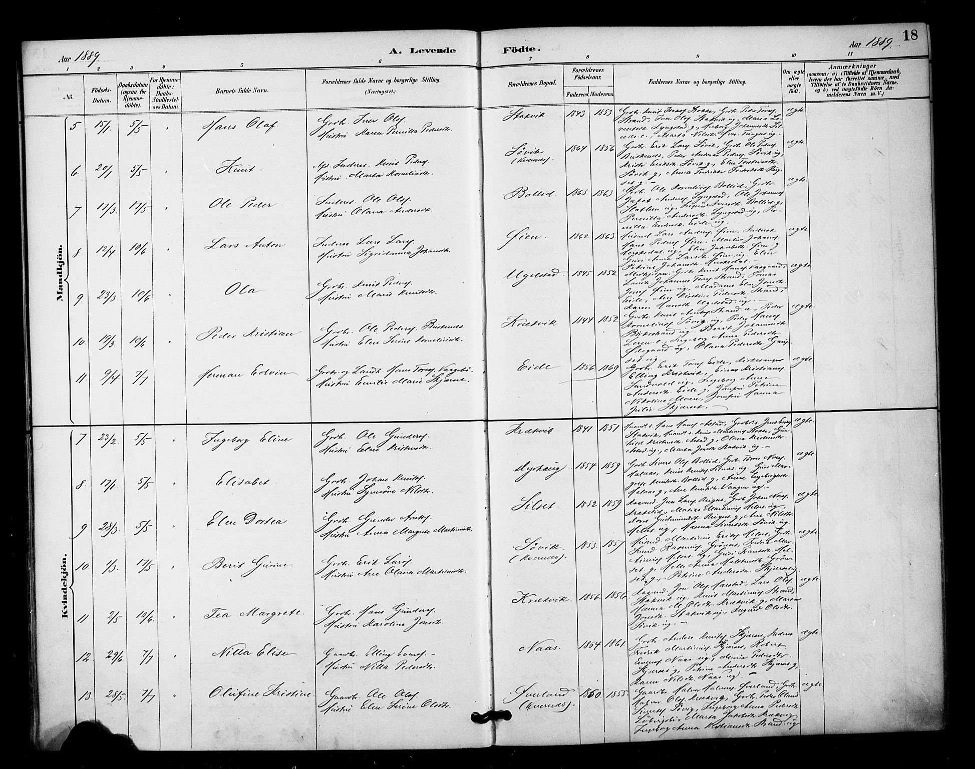 Ministerialprotokoller, klokkerbøker og fødselsregistre - Møre og Romsdal, AV/SAT-A-1454/571/L0836: Parish register (official) no. 571A01, 1884-1899, p. 18