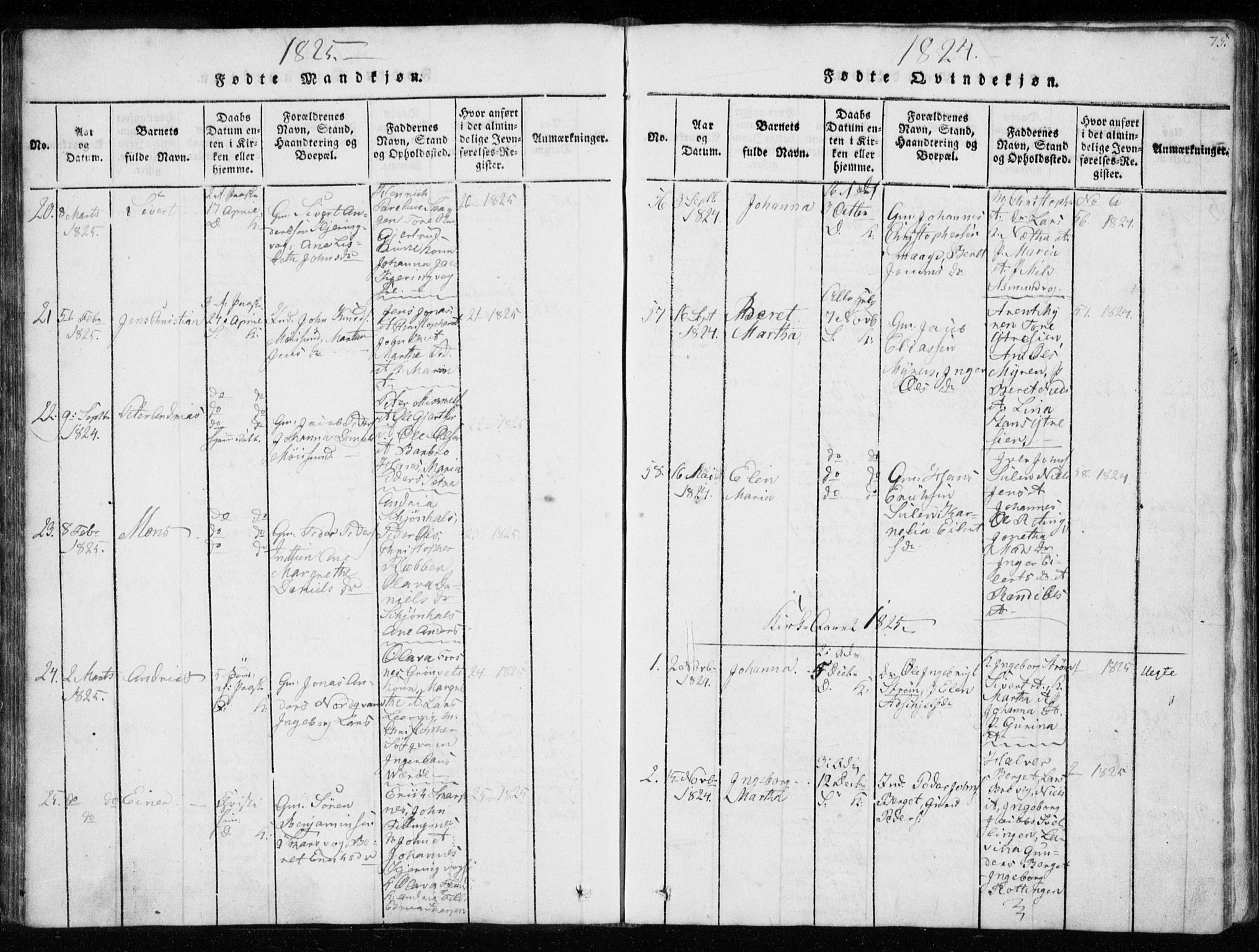 Ministerialprotokoller, klokkerbøker og fødselsregistre - Sør-Trøndelag, AV/SAT-A-1456/634/L0527: Parish register (official) no. 634A03, 1818-1826, p. 75