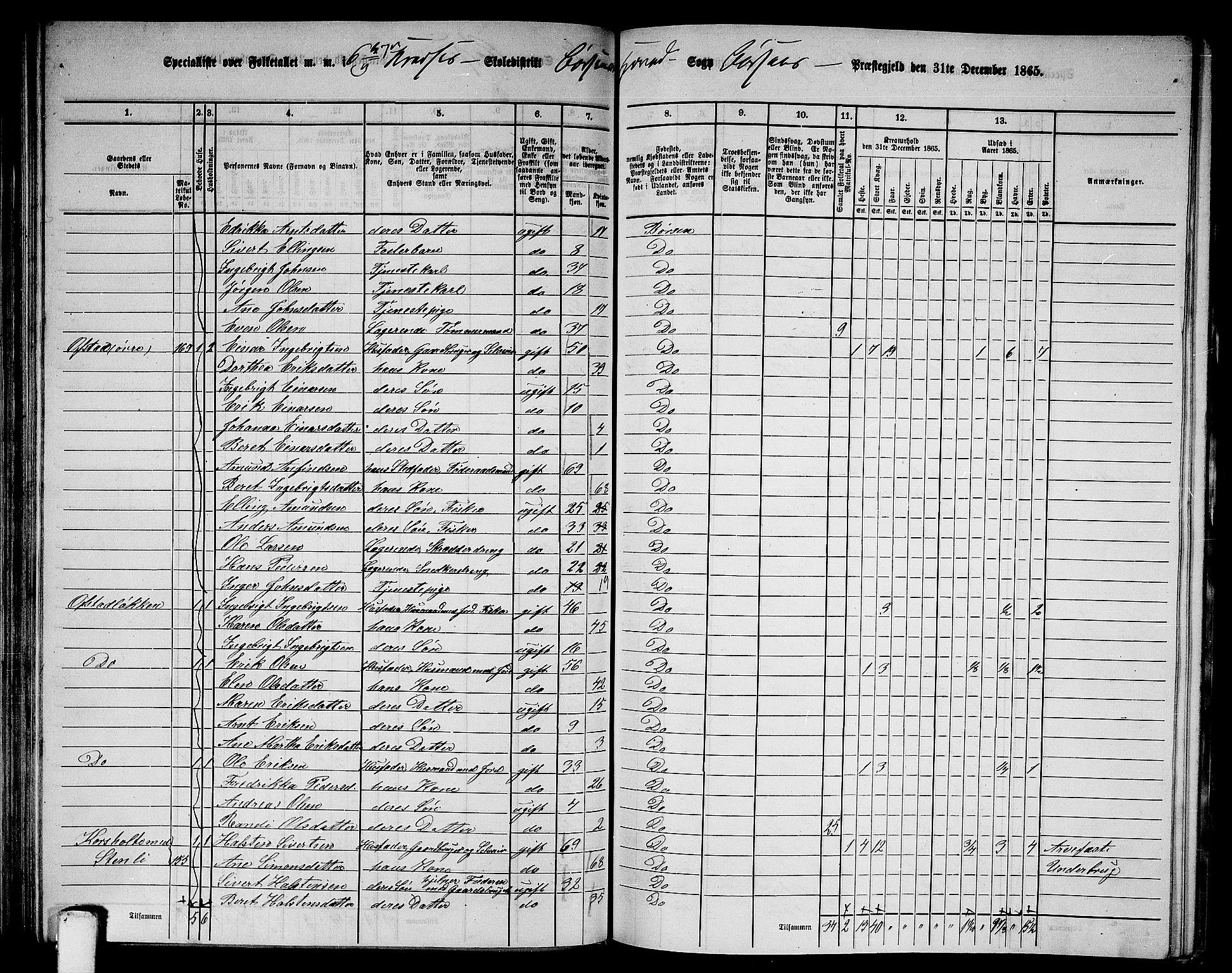 RA, 1865 census for Børsa, 1865, p. 94