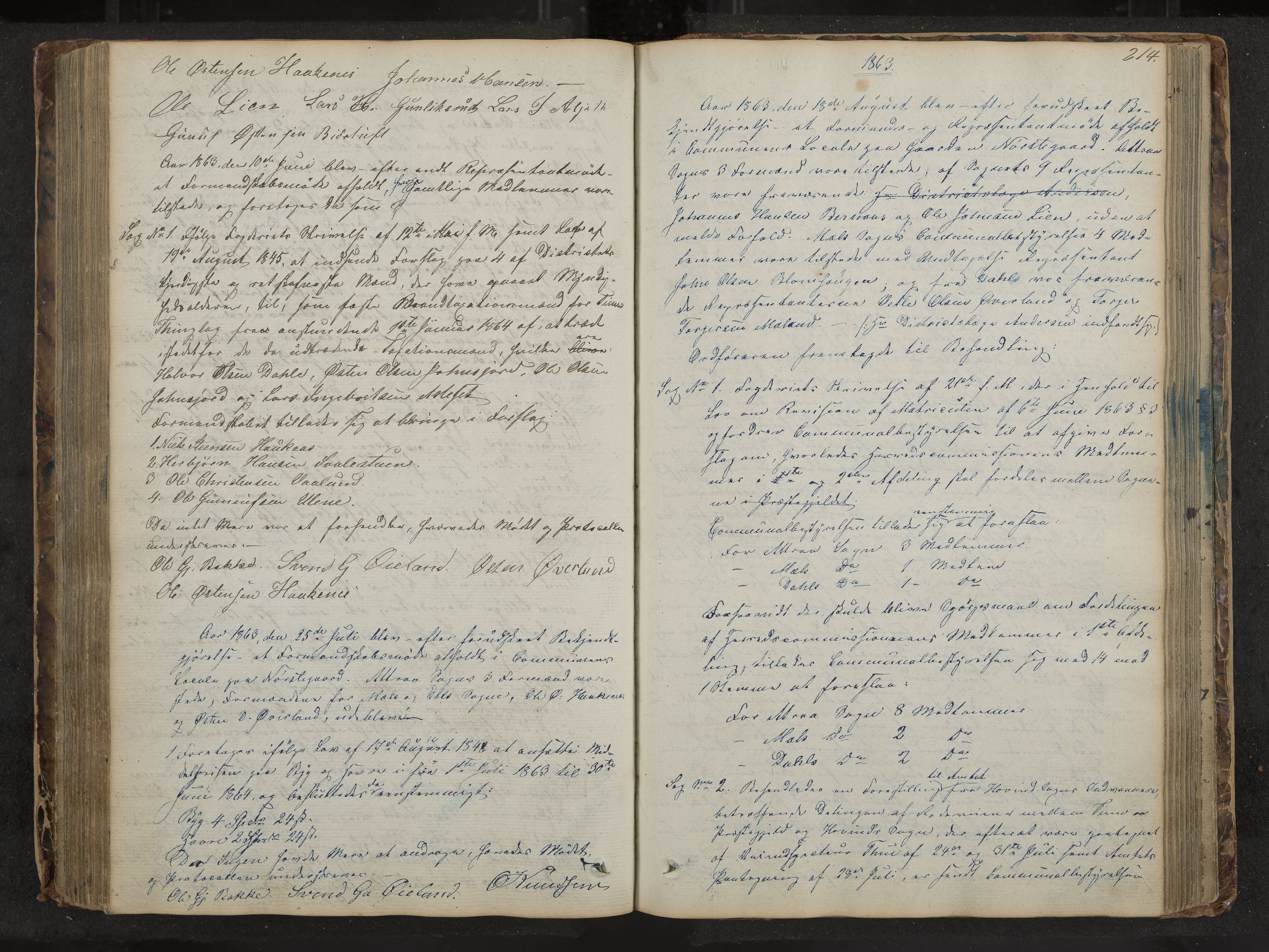 Tinn formannskap og sentraladministrasjon, IKAK/0826021-1/A/Aa/L0001: Møtebok, 1838-1882, p. 214