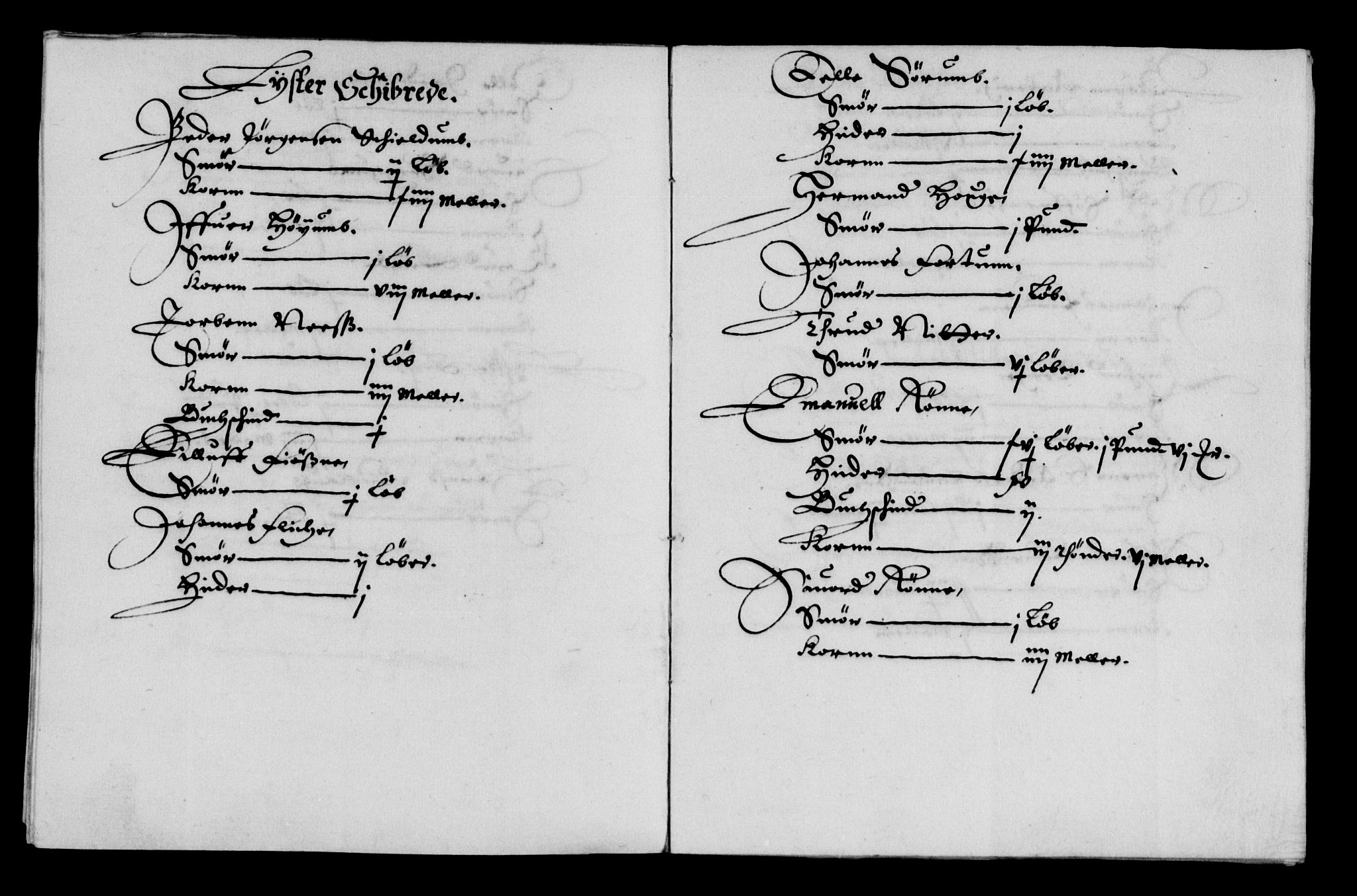 Rentekammeret inntil 1814, Reviderte regnskaper, Lensregnskaper, RA/EA-5023/R/Rb/Rbt/L0110: Bergenhus len, 1641-1648