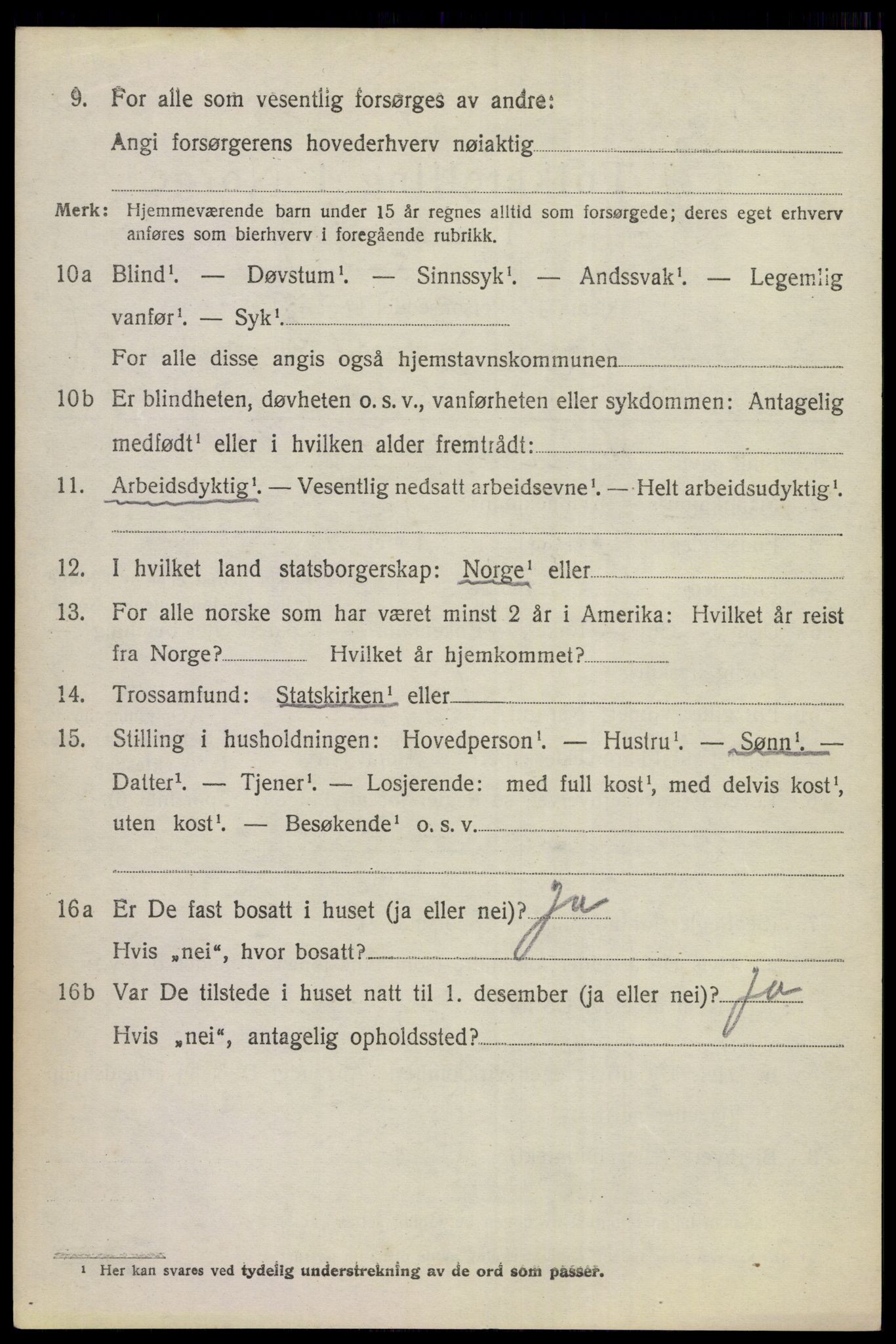 SAKO, 1920 census for Hol (Buskerud), 1920, p. 858