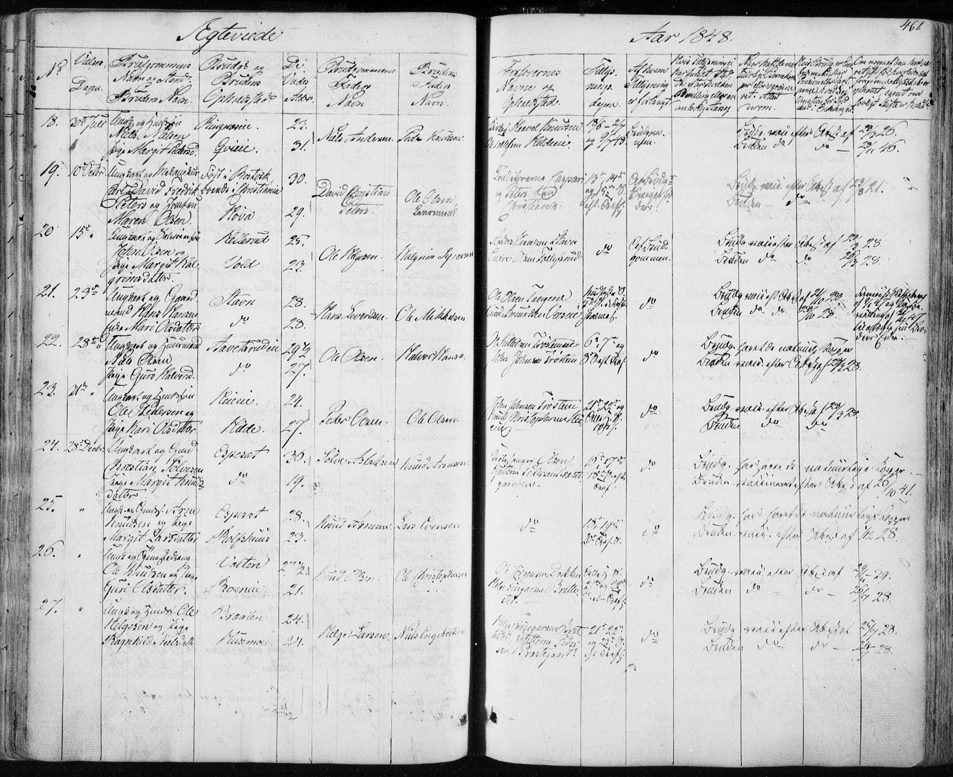 Nes kirkebøker, AV/SAKO-A-236/F/Fa/L0009: Parish register (official) no. 9, 1834-1863, p. 461