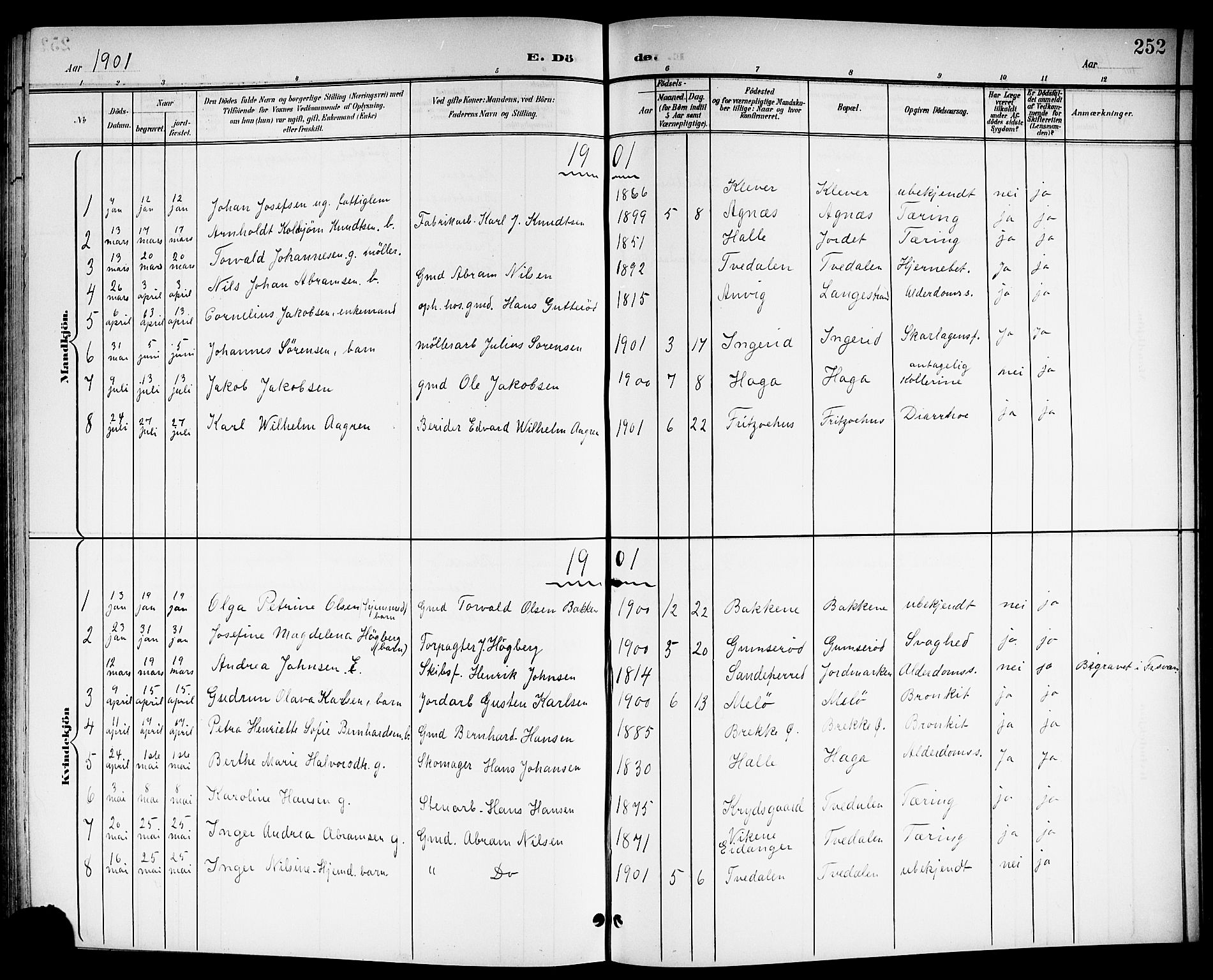 Brunlanes kirkebøker, AV/SAKO-A-342/G/Ga/L0004: Parish register (copy) no. I 4, 1898-1921, p. 252