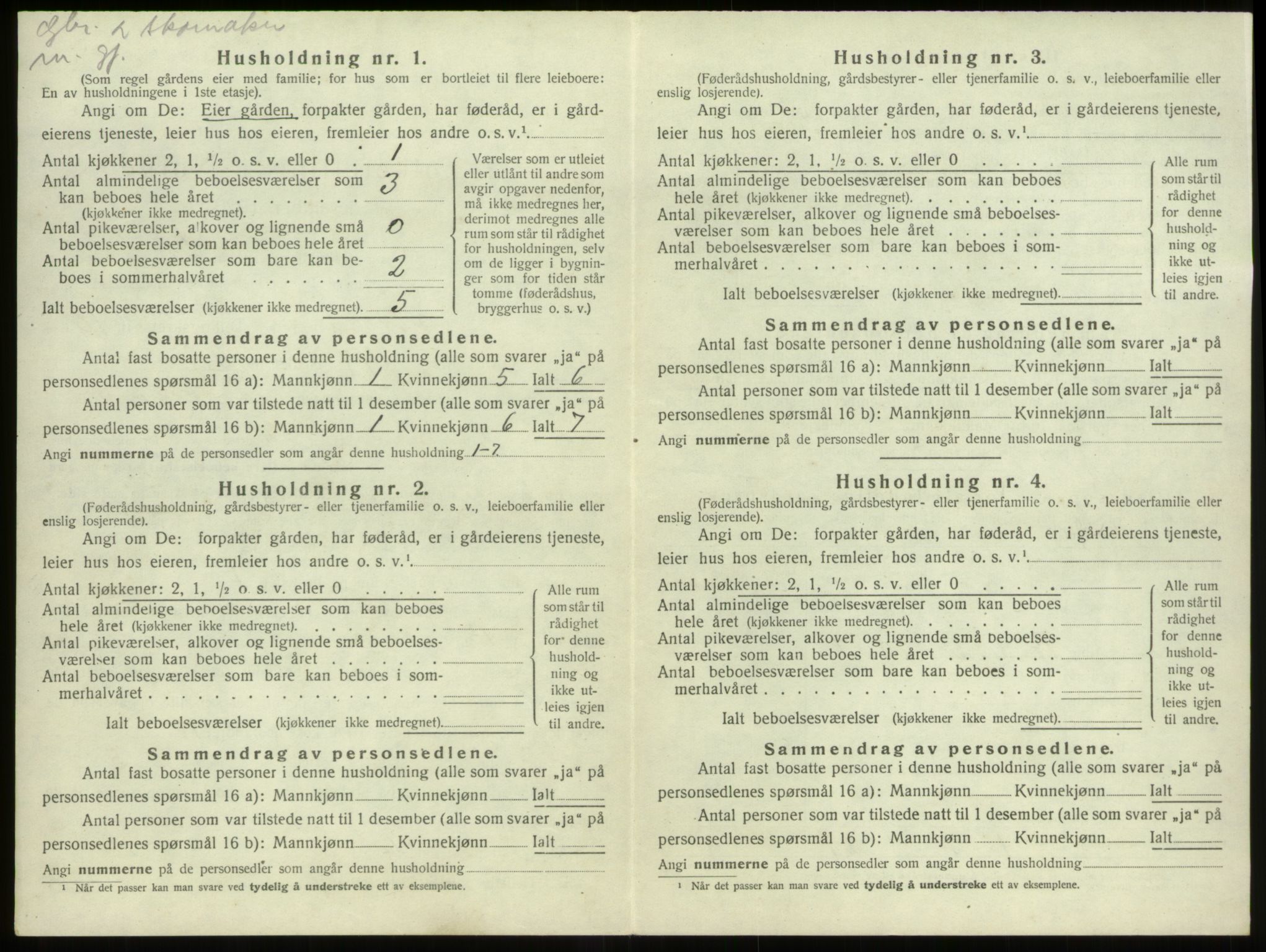 SAB, 1920 census for Stryn, 1920, p. 703