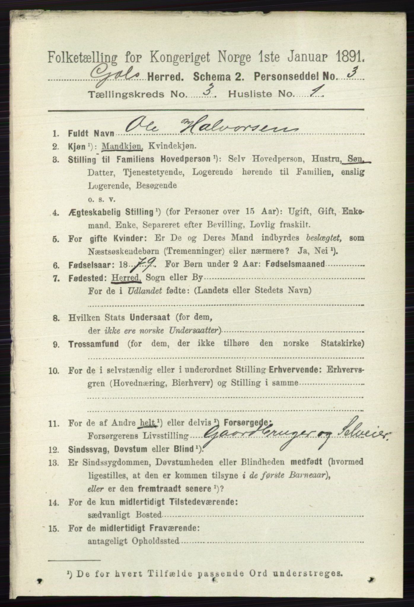 RA, 1891 census for 0617 Gol og Hemsedal, 1891, p. 1275