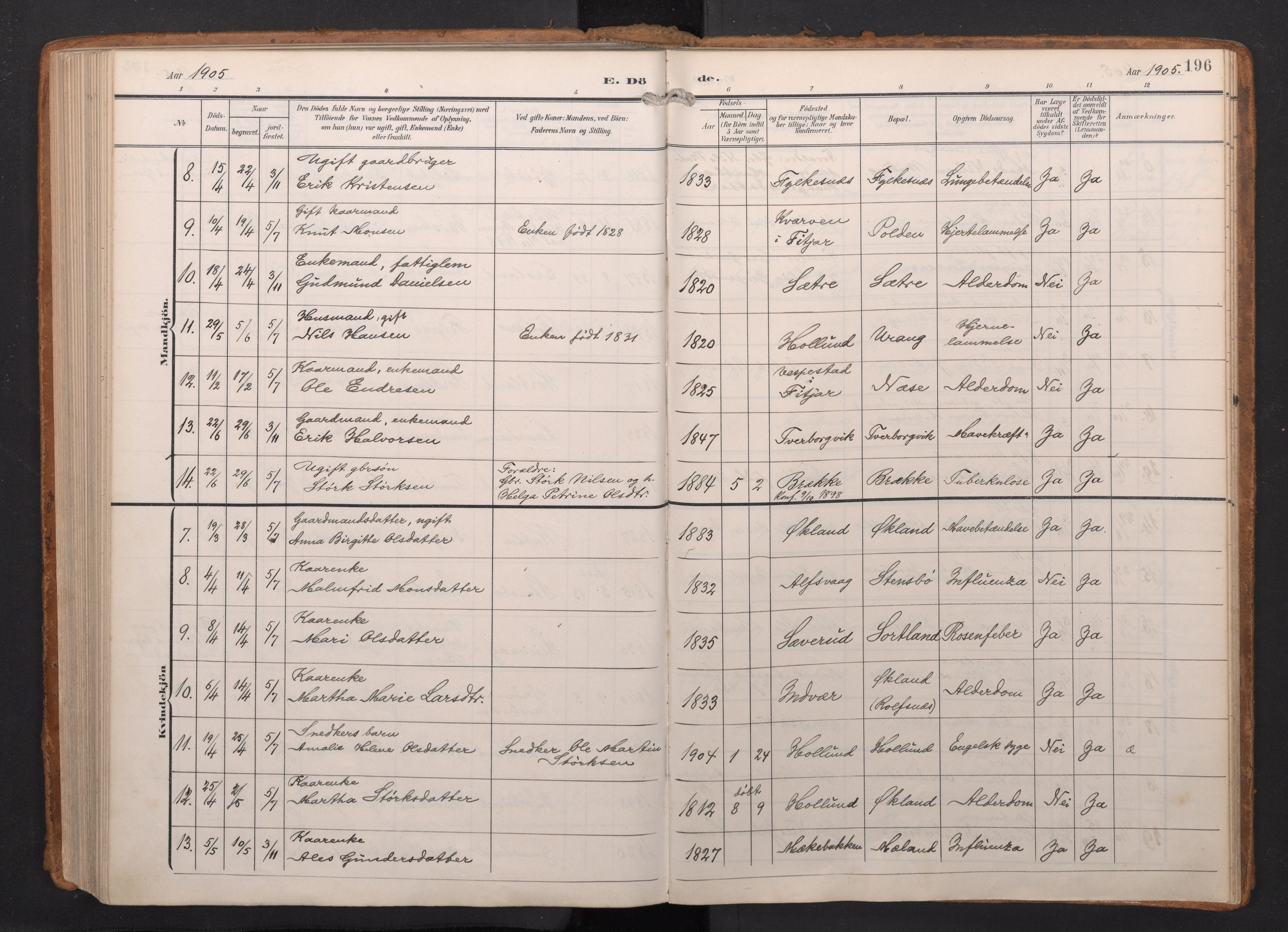 Finnås sokneprestembete, AV/SAB-A-99925/H/Ha/Haa/Haac/L0003: Parish register (official) no. C 3, 1905-1917, p. 196