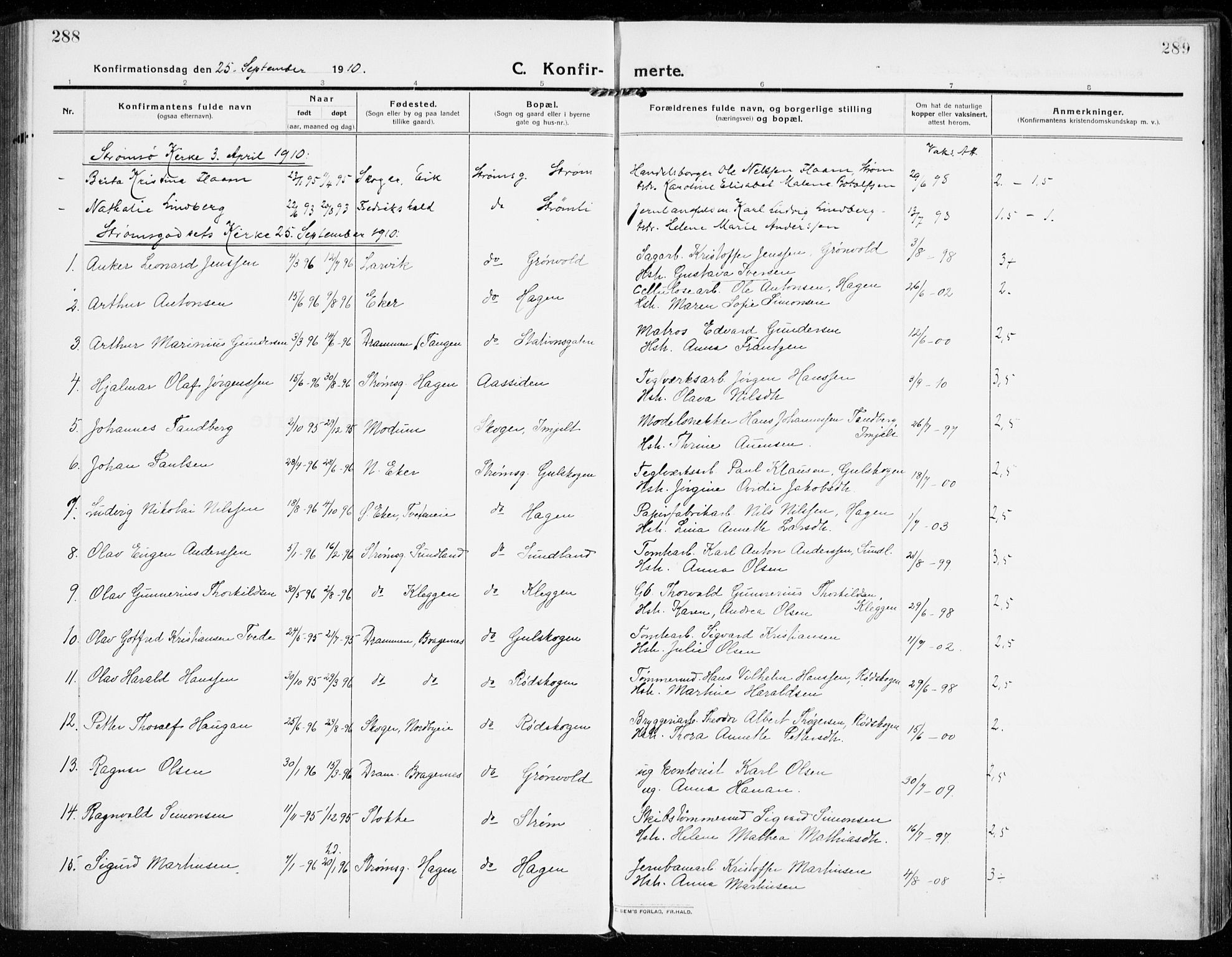 Strømsgodset kirkebøker, SAKO/A-324/F/Fa/L0002: Parish register (official) no. 2, 1910-1920, p. 288-289