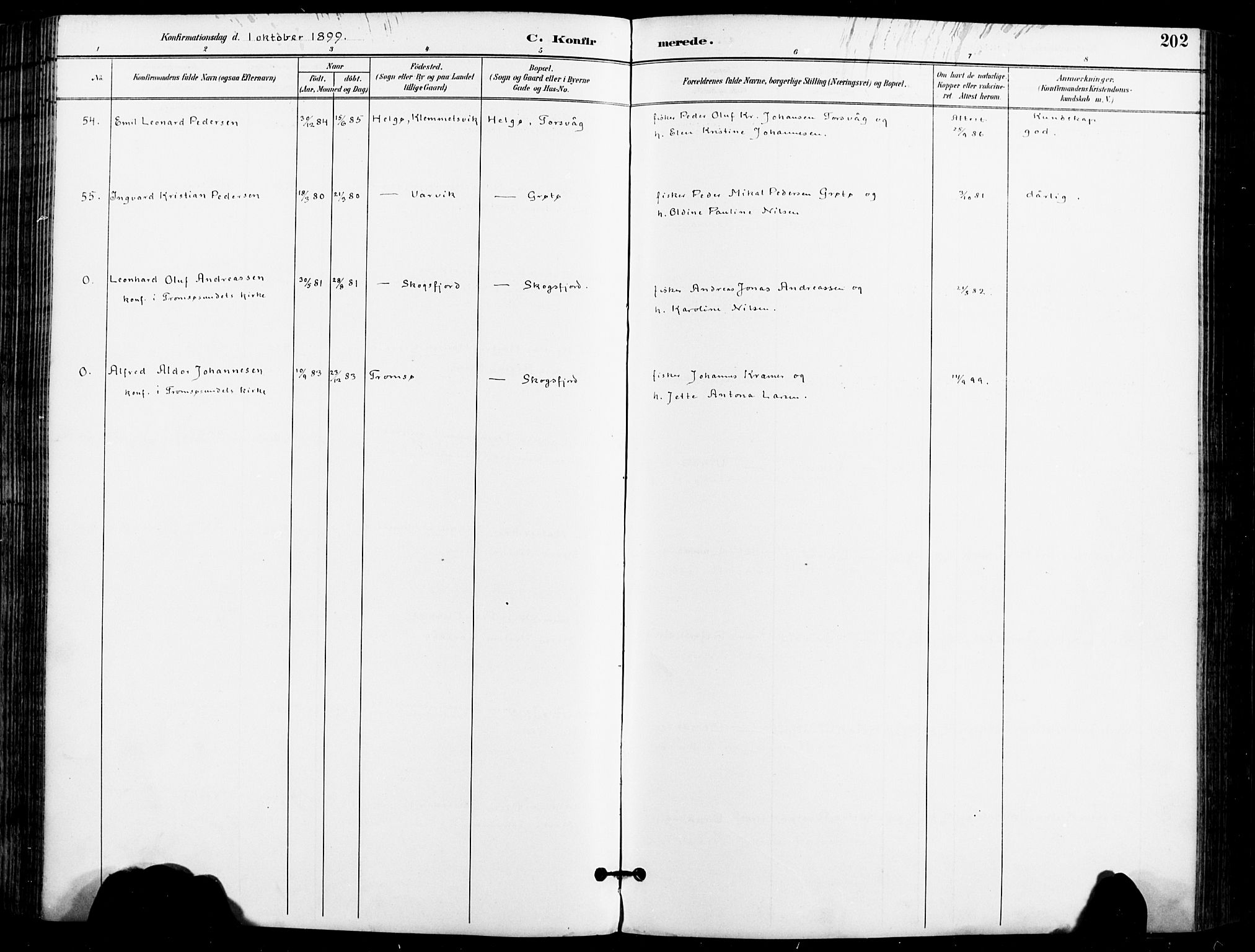 Karlsøy sokneprestembete, AV/SATØ-S-1299/H/Ha/Haa/L0007kirke: Parish register (official) no. 7, 1891-1902, p. 202