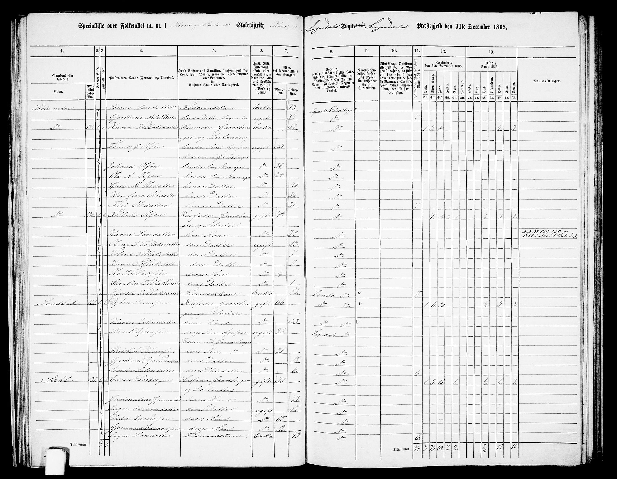 RA, 1865 census for Sokndal, 1865, p. 47