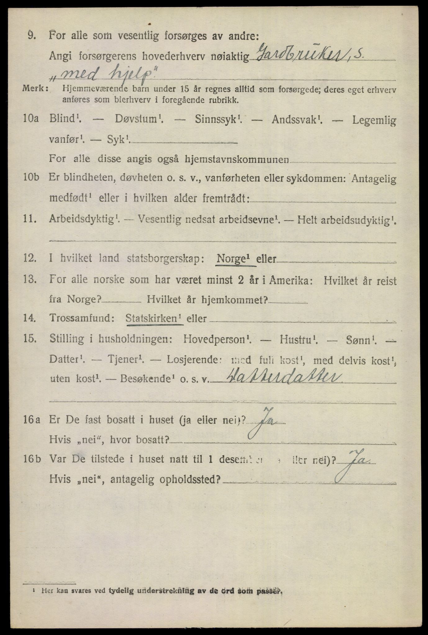 SAKO, 1920 census for Gol, 1920, p. 1217