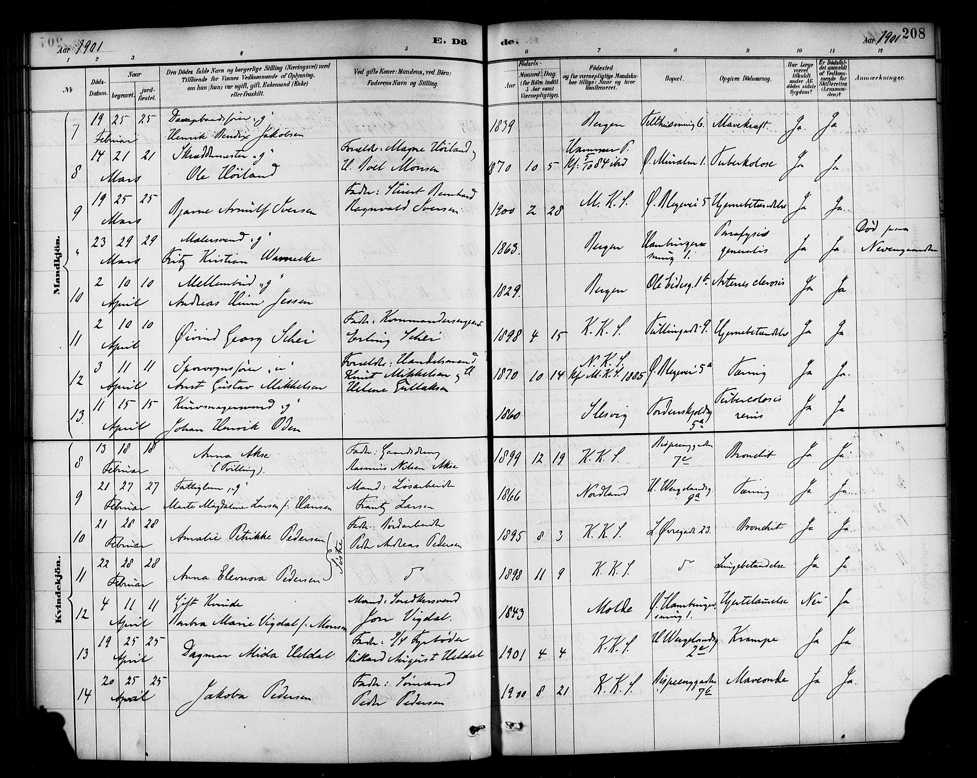 Korskirken sokneprestembete, SAB/A-76101/H/Haa/L0047: Parish register (official) no. E 5, 1884-1910, p. 208