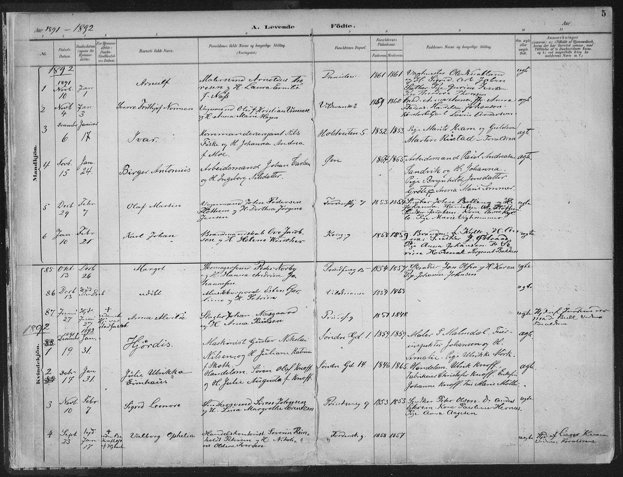 Ministerialprotokoller, klokkerbøker og fødselsregistre - Sør-Trøndelag, SAT/A-1456/601/L0062: Parish register (official) no. 601A30, 1891-1911, p. 5