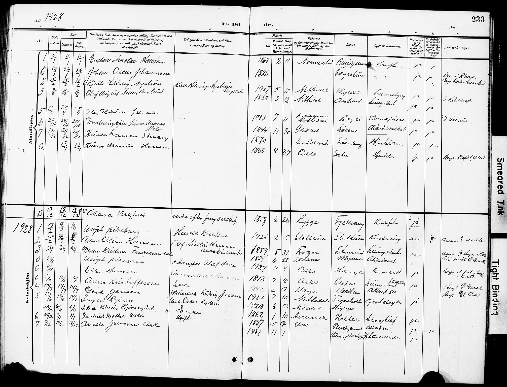 Nittedal prestekontor Kirkebøker, SAO/A-10365a/G/Ga/L0003: Parish register (copy) no. I 3, 1902-1929, p. 233