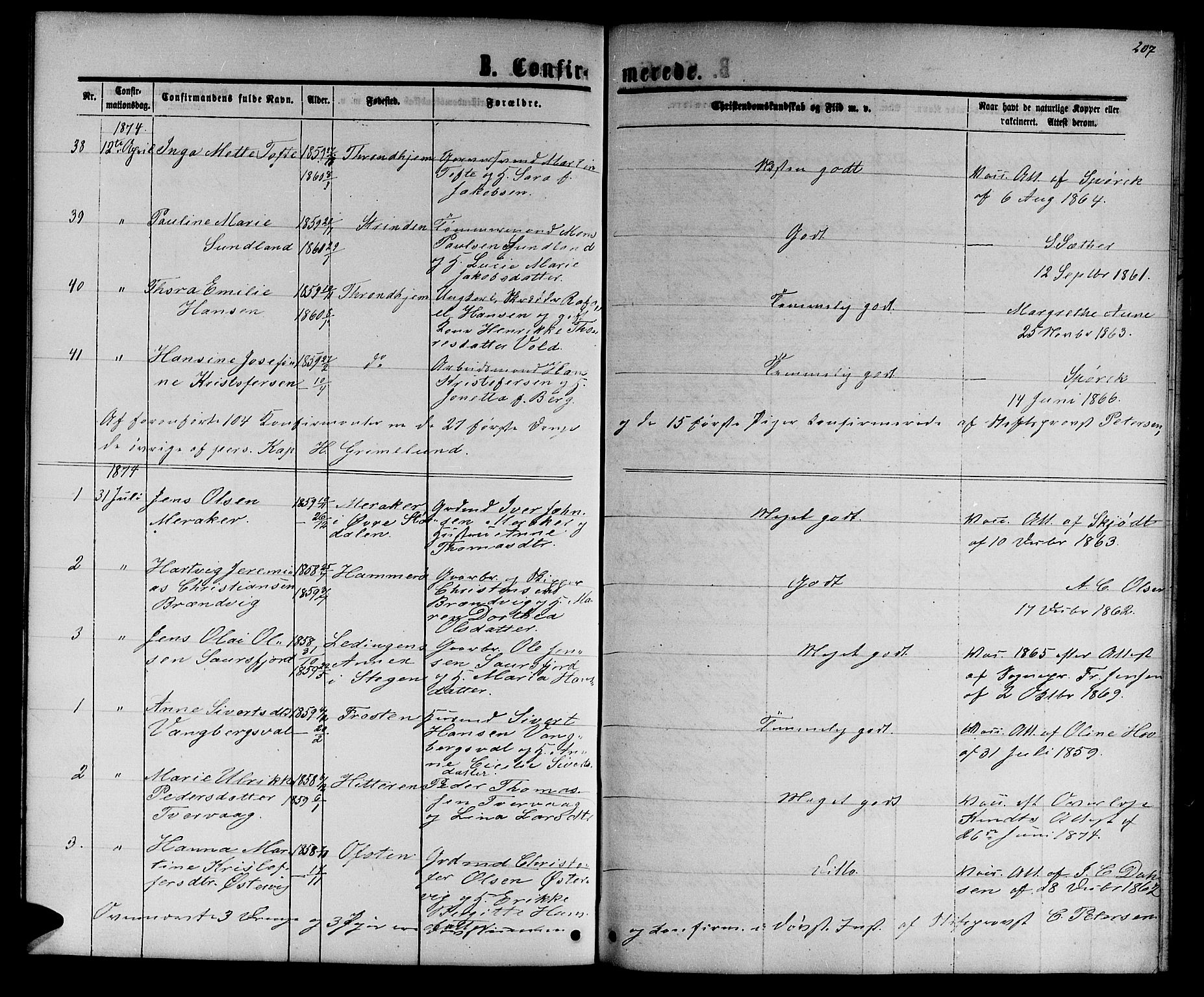 Ministerialprotokoller, klokkerbøker og fødselsregistre - Sør-Trøndelag, AV/SAT-A-1456/601/L0087: Parish register (copy) no. 601C05, 1864-1881, p. 207