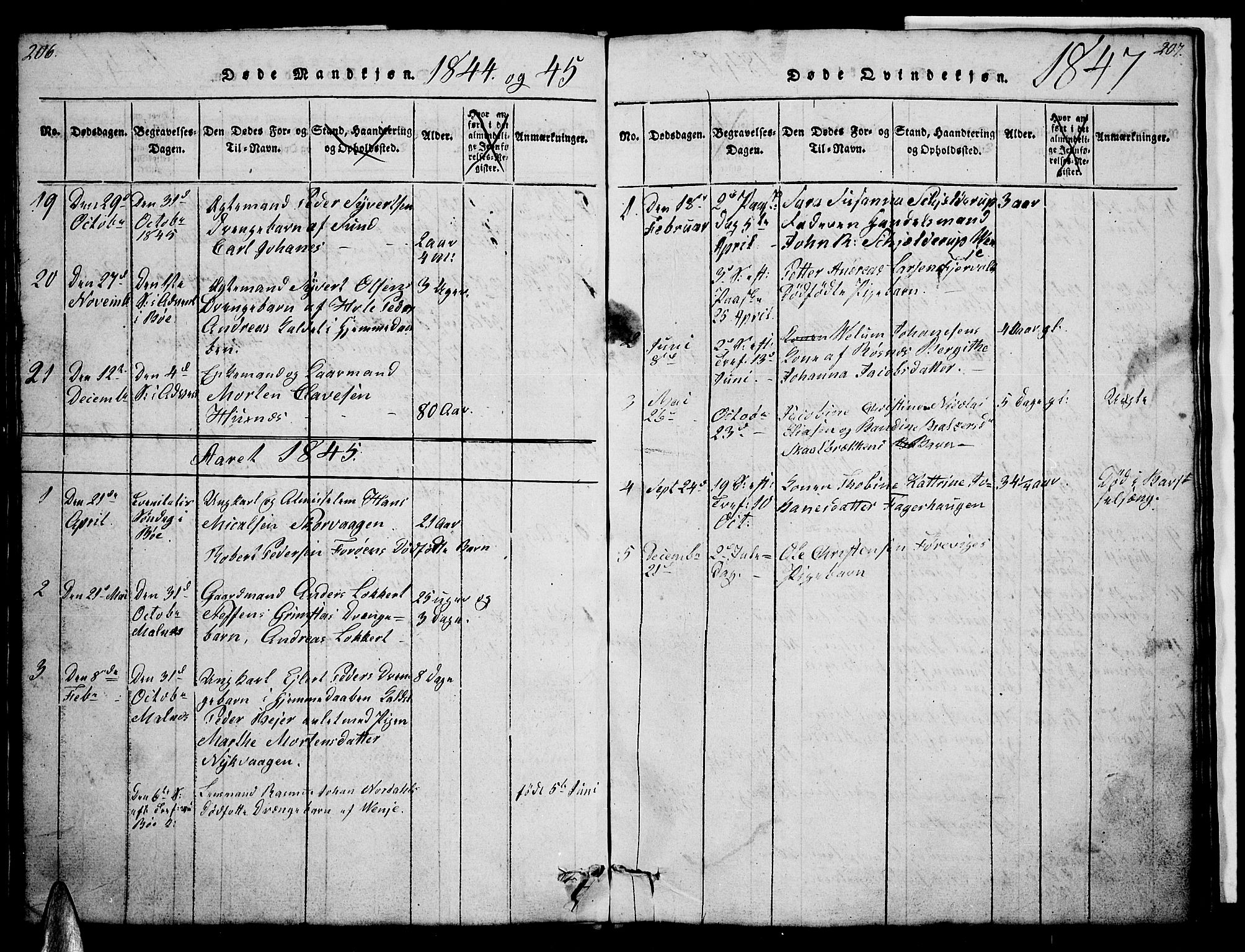 Ministerialprotokoller, klokkerbøker og fødselsregistre - Nordland, AV/SAT-A-1459/891/L1312: Parish register (copy) no. 891C01, 1820-1856, p. 206-207