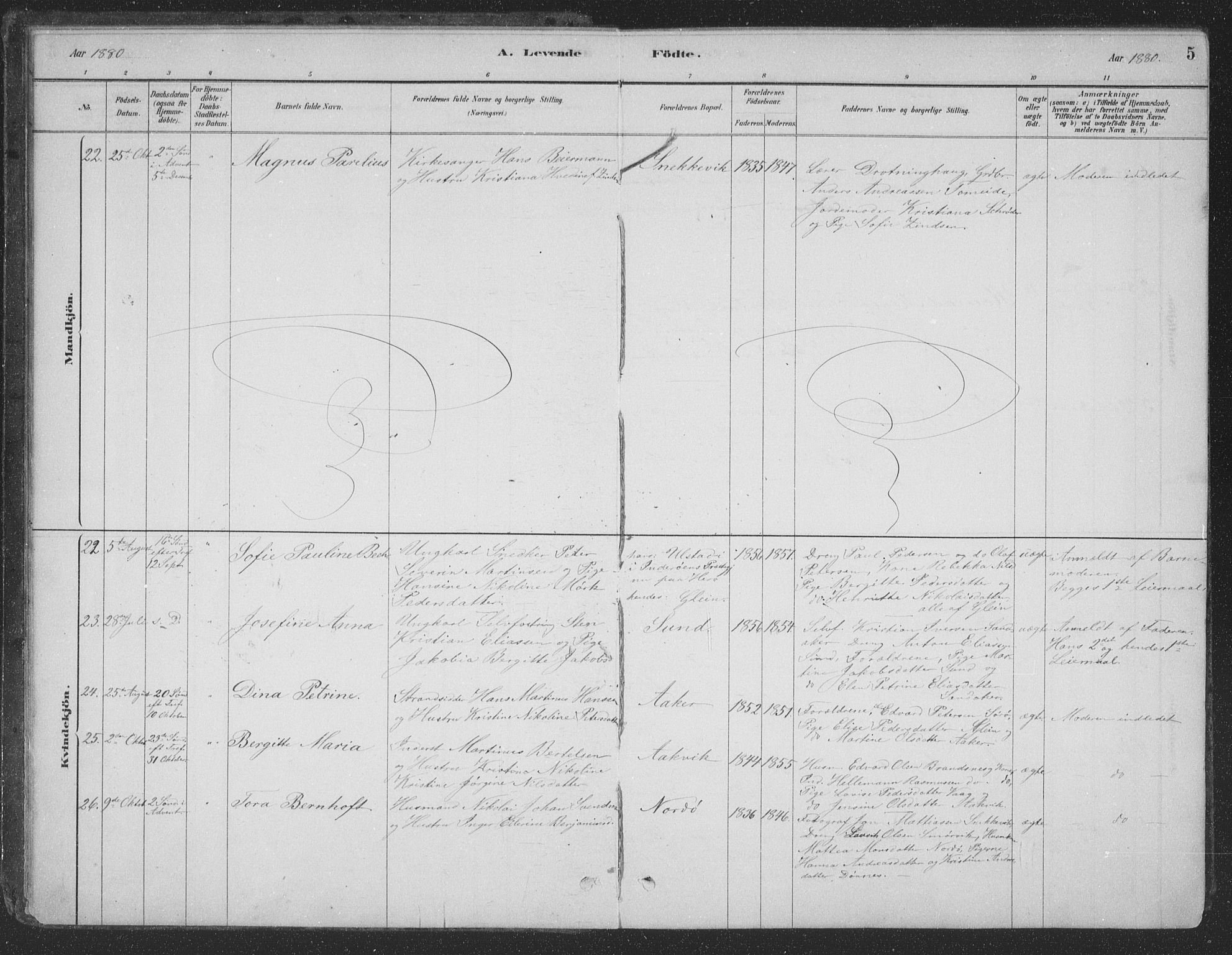 Ministerialprotokoller, klokkerbøker og fødselsregistre - Nordland, AV/SAT-A-1459/835/L0532: Parish register (copy) no. 835C04, 1880-1905, p. 5