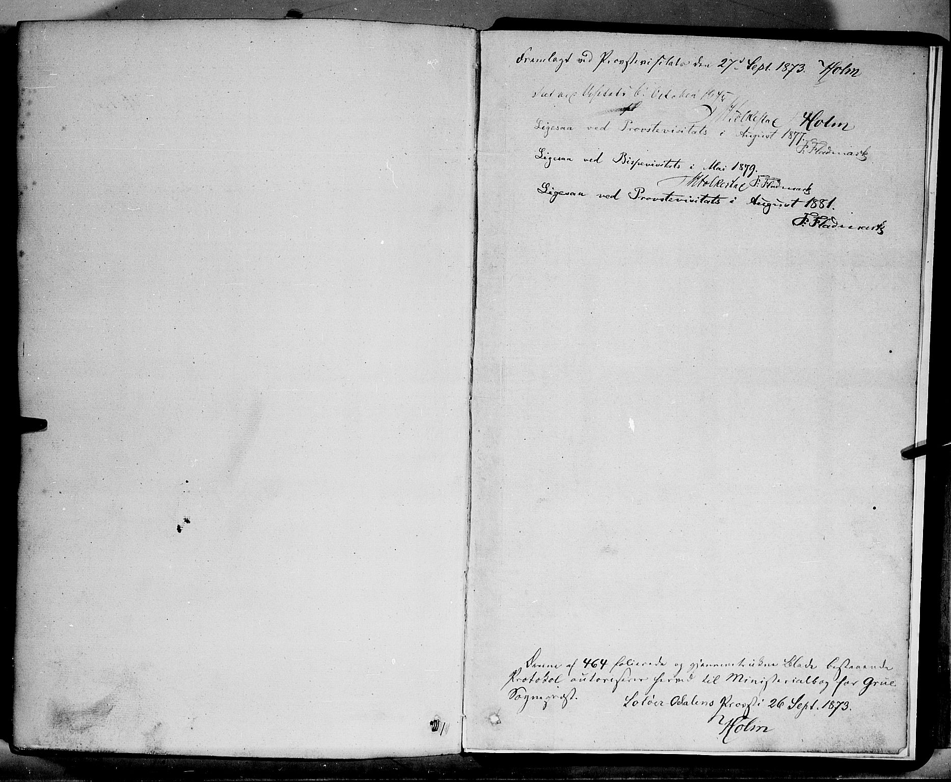Grue prestekontor, SAH/PREST-036/H/Ha/Haa/L0011: Parish register (official) no. 11, 1873-1880