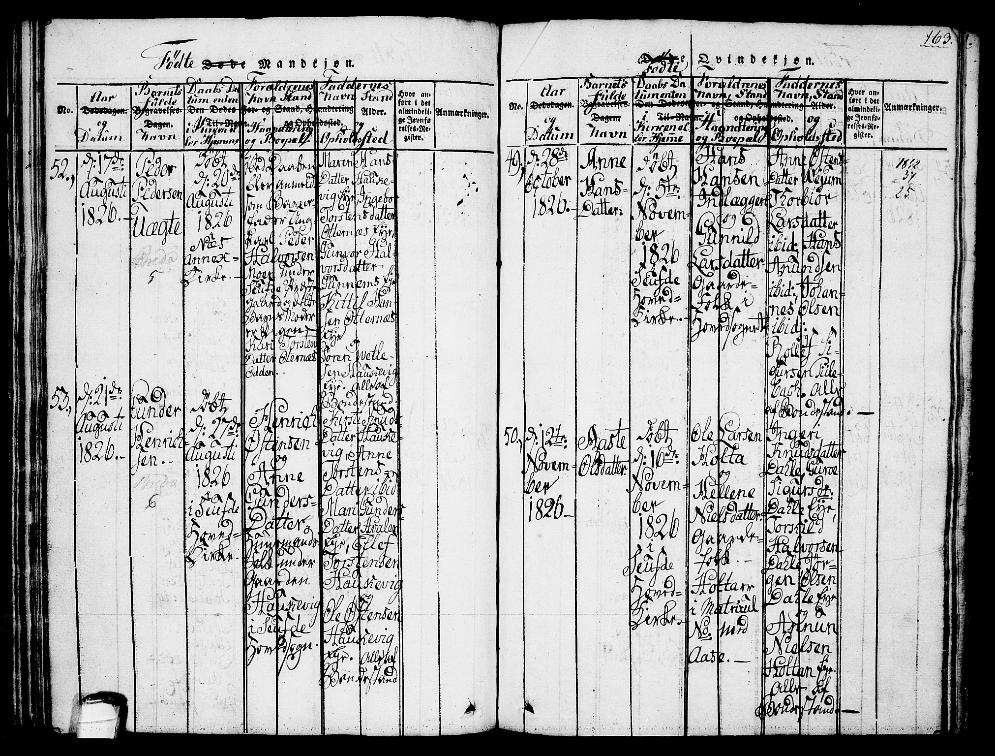 Sauherad kirkebøker, AV/SAKO-A-298/G/Ga/L0001: Parish register (copy) no. I 1, 1815-1827, p. 163