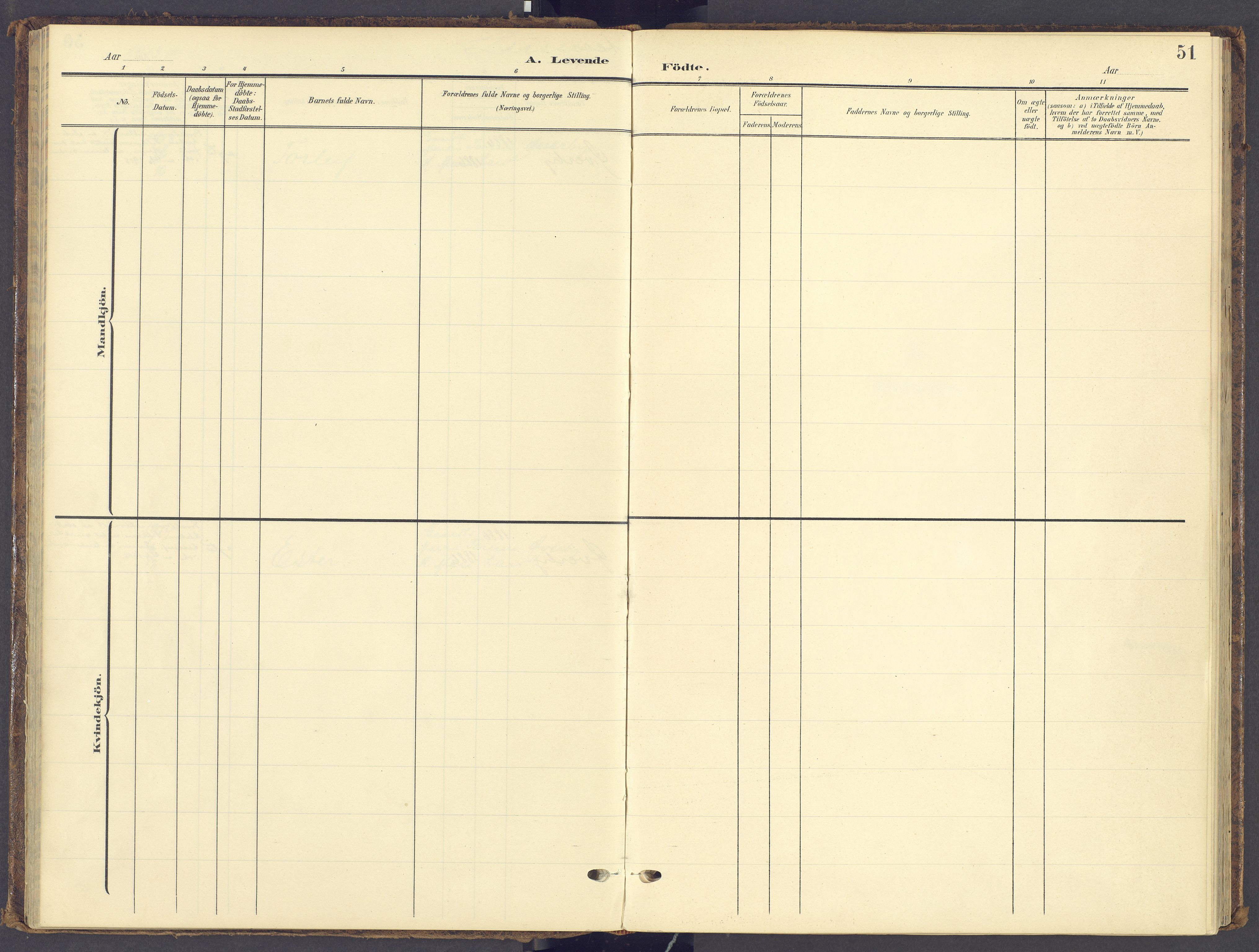 Tynset prestekontor, AV/SAH-PREST-058/H/Ha/Haa/L0028: Parish register (official) no. 28, 1902-1929, p. 51