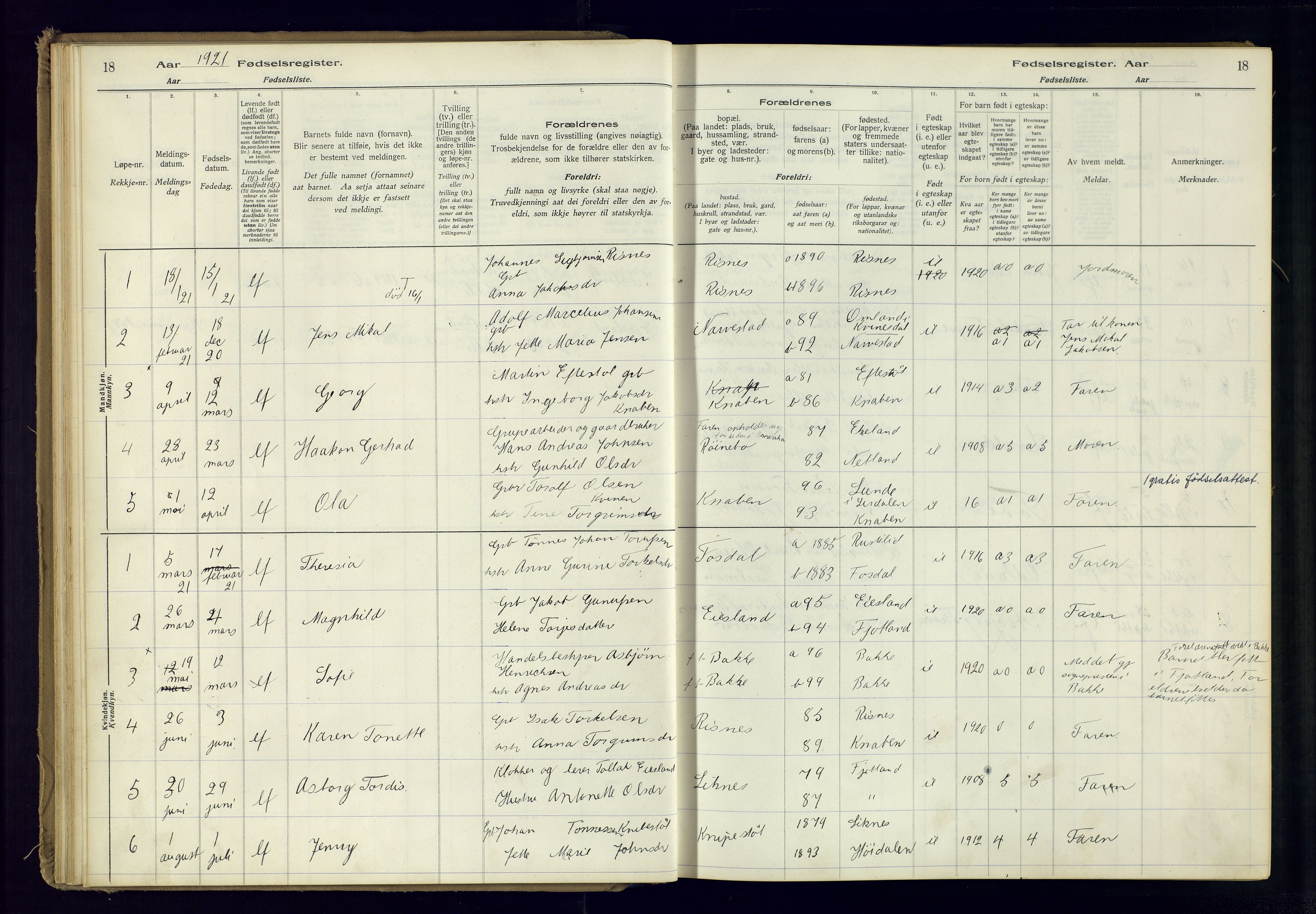 Fjotland sokneprestkontor, AV/SAK-1111-0010/J/Ja/L0001: Birth register no. 1, 1916-1981, p. 18