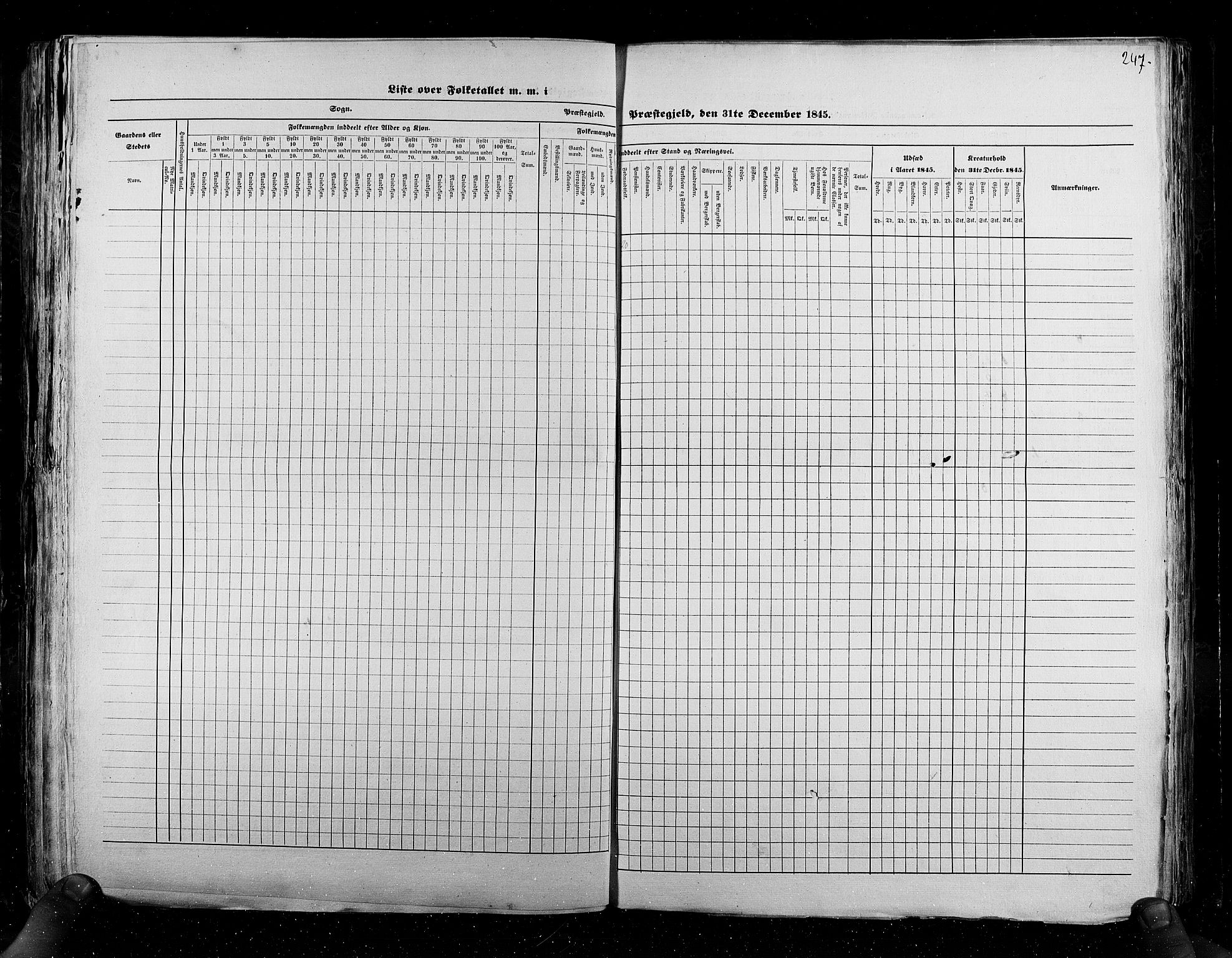 RA, Census 1845, vol. 6: Lister og Mandal amt og Stavanger amt, 1845, p. 247