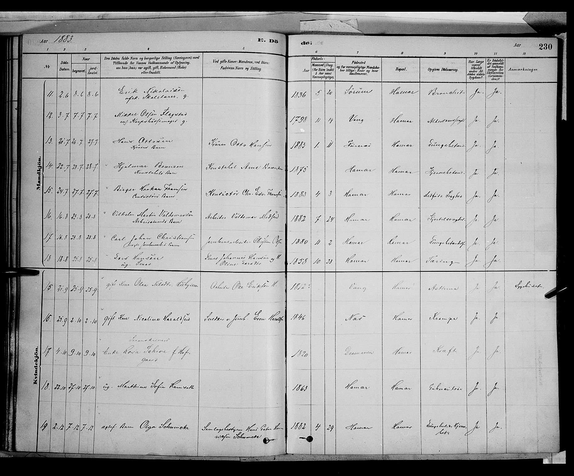 Vang prestekontor, Hedmark, AV/SAH-PREST-008/H/Ha/Haa/L0016: Parish register (official) no. 16, 1878-1889, p. 230