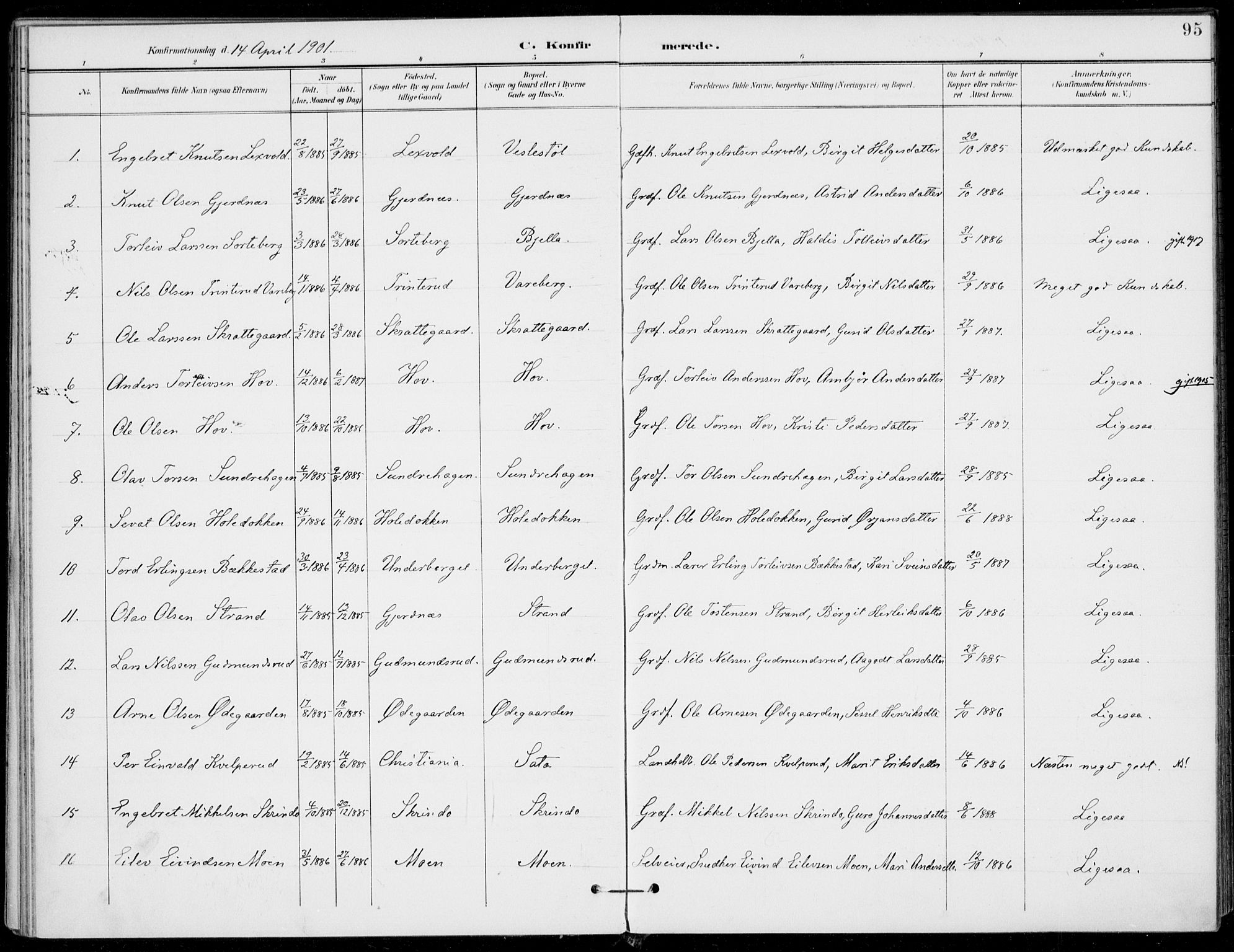 Ål kirkebøker, AV/SAKO-A-249/F/Fa/L0009: Parish register (official) no. I 9, 1897-1915, p. 95