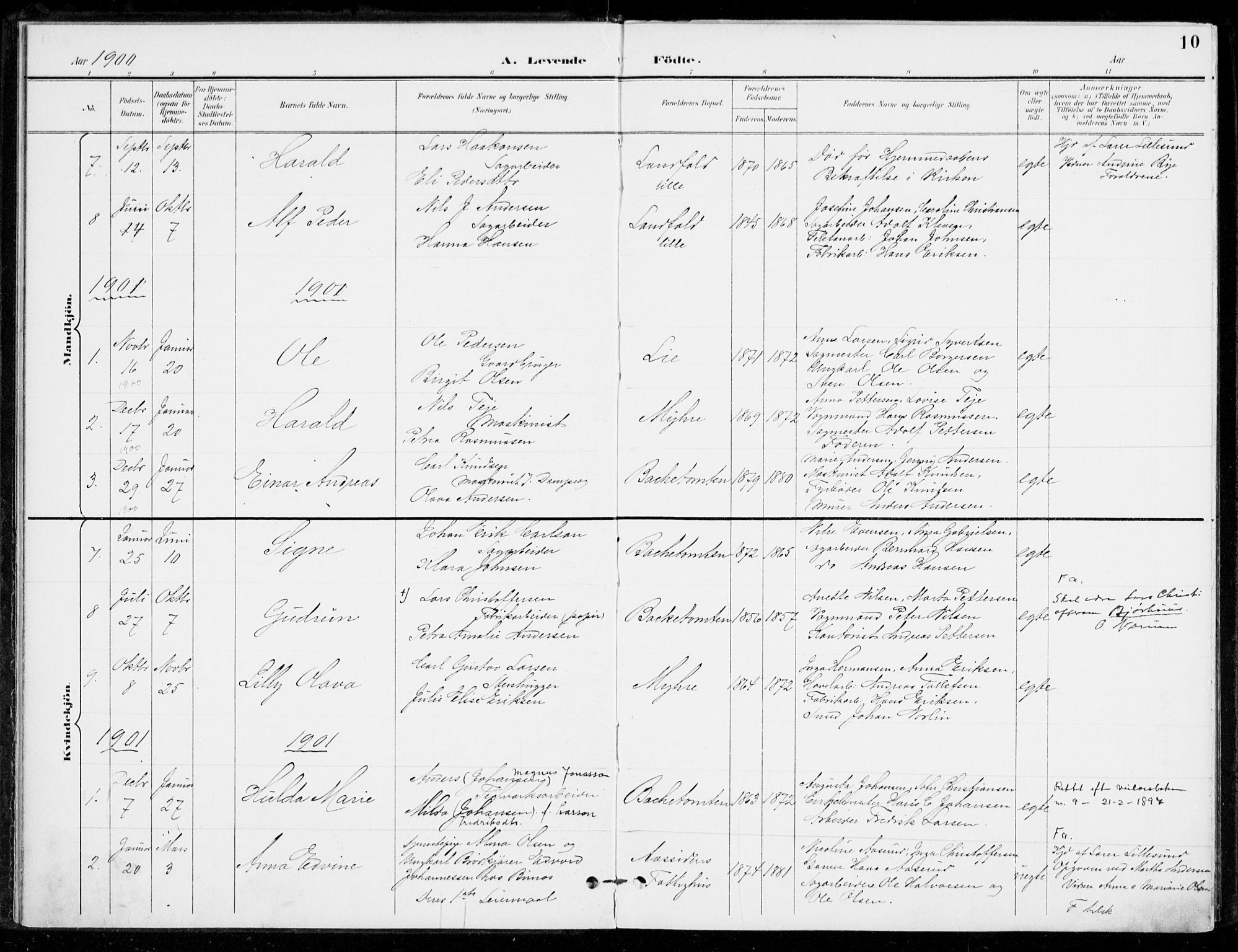 Åssiden kirkebøker, SAKO/A-251/F/Fa/L0002: Parish register (official) no. 2, 1896-1916, p. 10