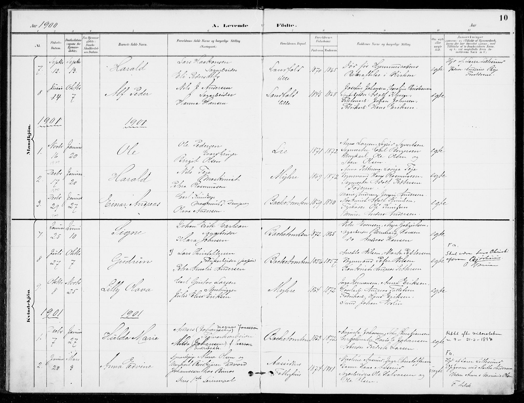 Åssiden kirkebøker, AV/SAKO-A-251/F/Fa/L0002: Parish register (official) no. 2, 1896-1916, p. 10