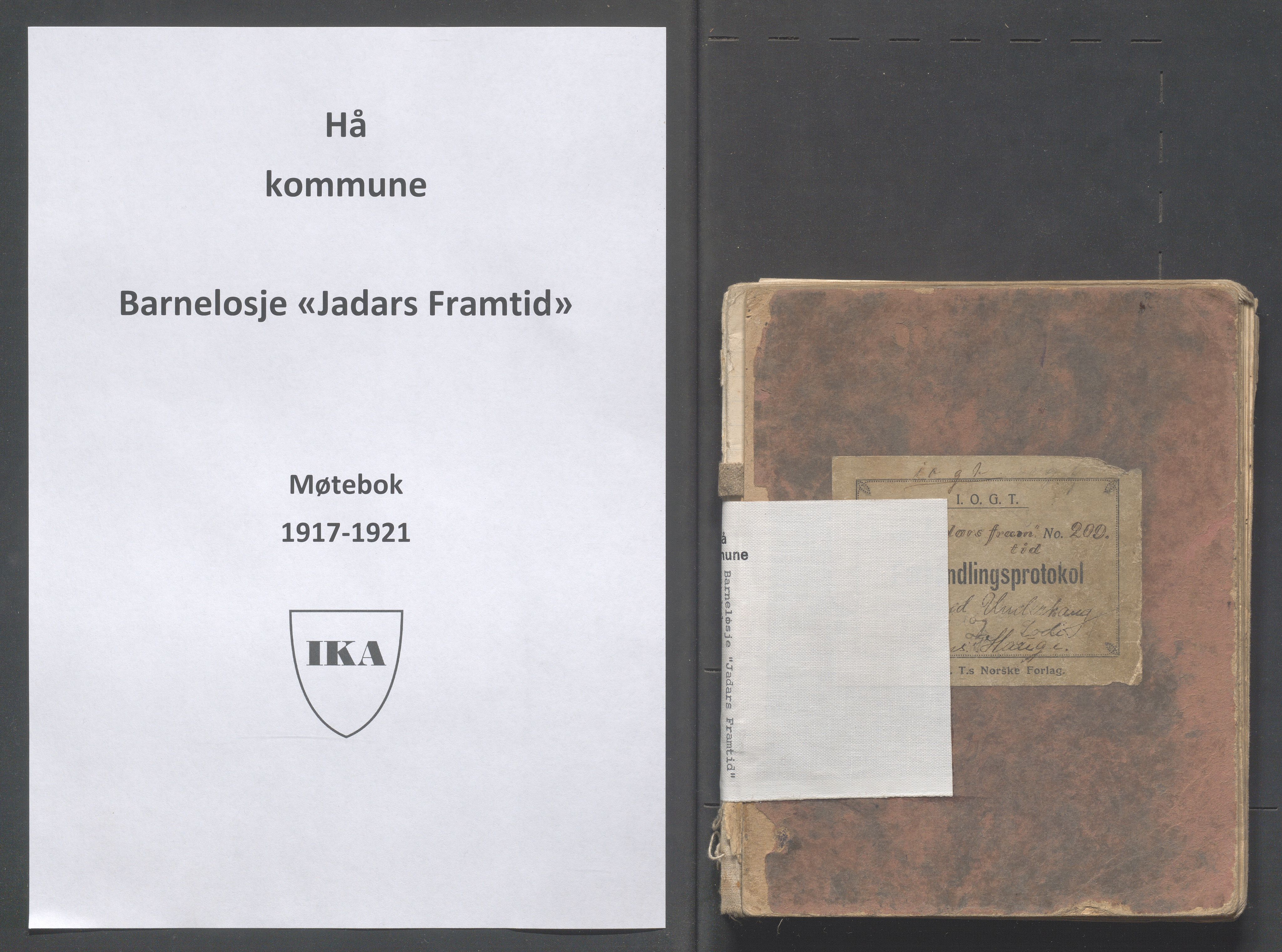 Hå kommune - PA 013 Barnelosje "Jadars Framtid" nr. 209, IKAR/K-102220/A/L0001: Møtebok, 1917-1921, p. 1