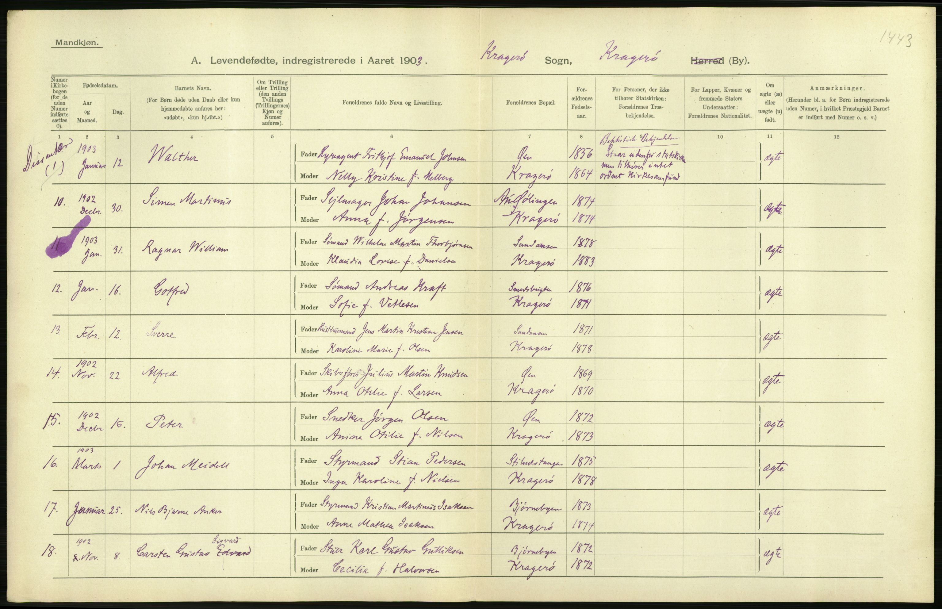 Statistisk sentralbyrå, Sosiodemografiske emner, Befolkning, AV/RA-S-2228/D/Df/Dfa/Dfaa/L0009: Bratsberg amt: Fødte, gifte, døde, 1903, p. 350