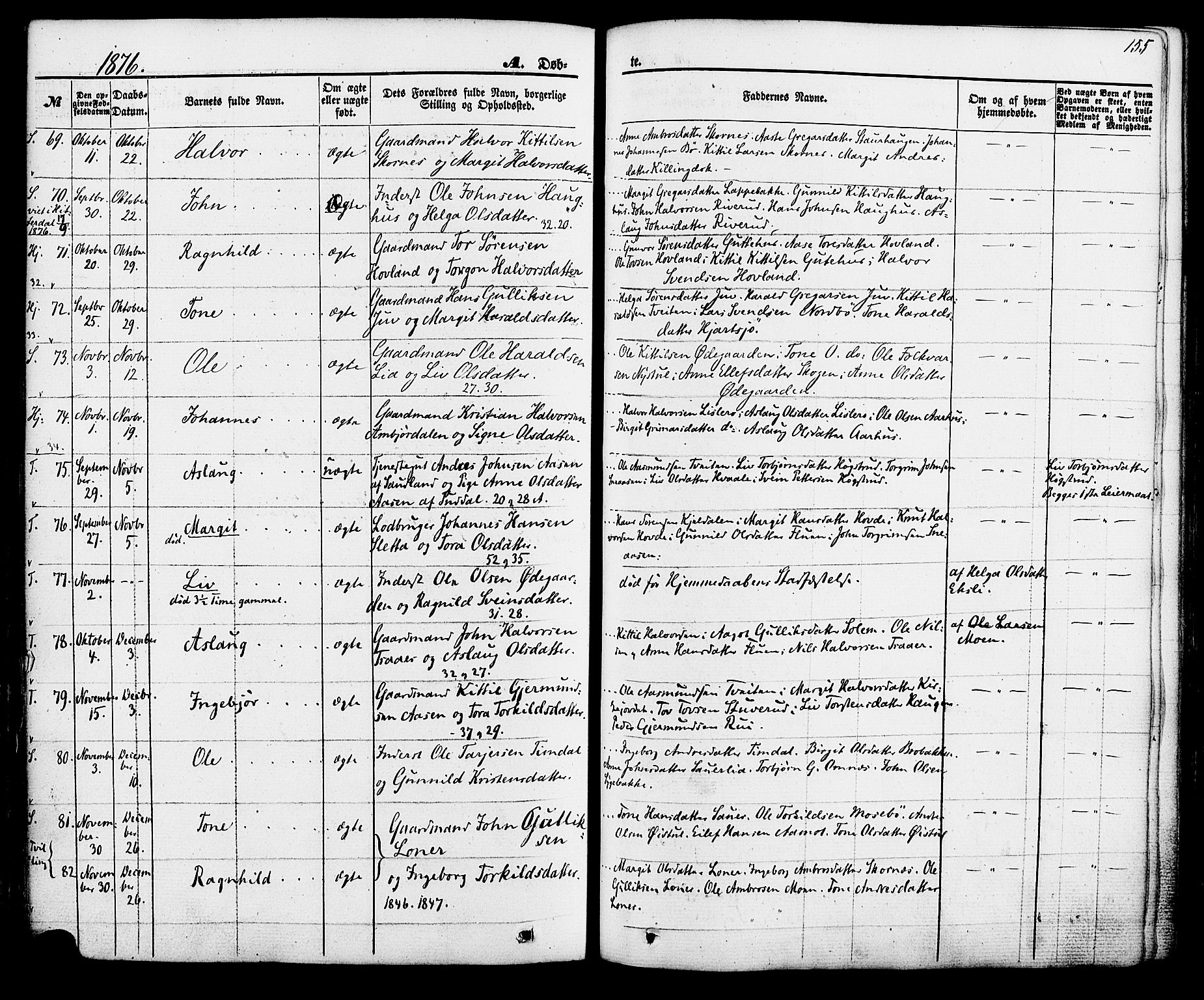 Hjartdal kirkebøker, SAKO/A-270/F/Fa/L0009: Parish register (official) no. I 9, 1860-1879, p. 155