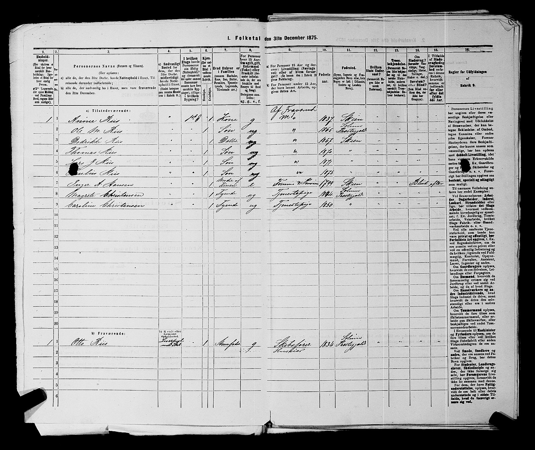 SAKO, 1875 census for 0806P Skien, 1875, p. 1342