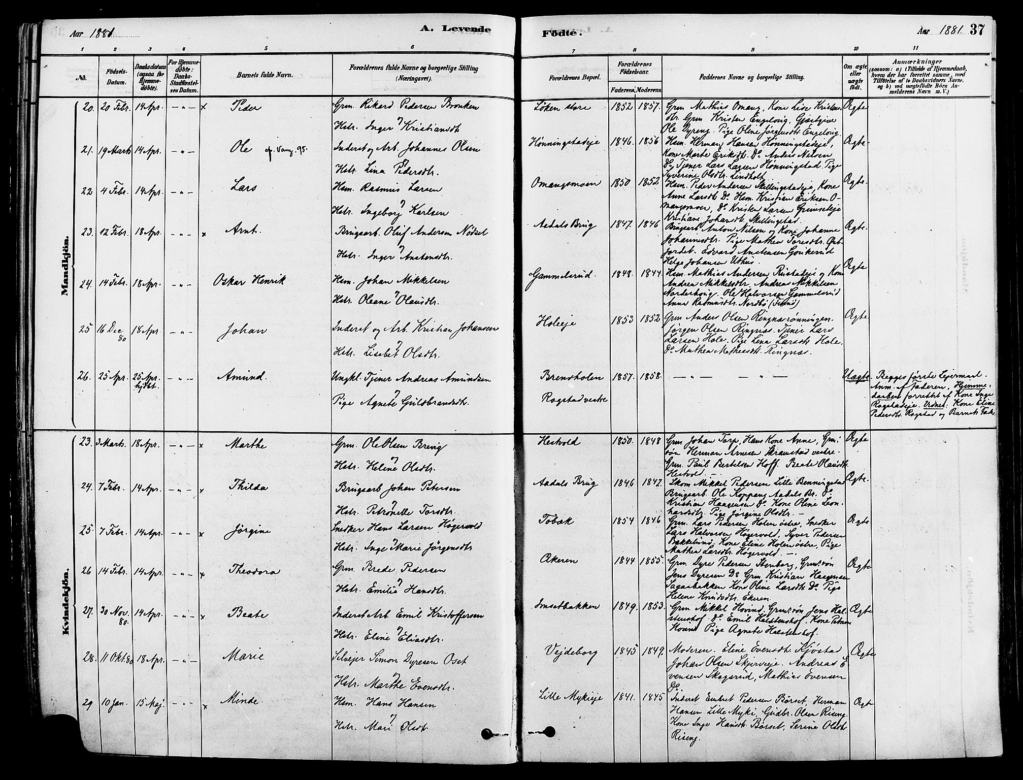 Løten prestekontor, AV/SAH-PREST-022/K/Ka/L0009: Parish register (official) no. 9, 1878-1891, p. 37