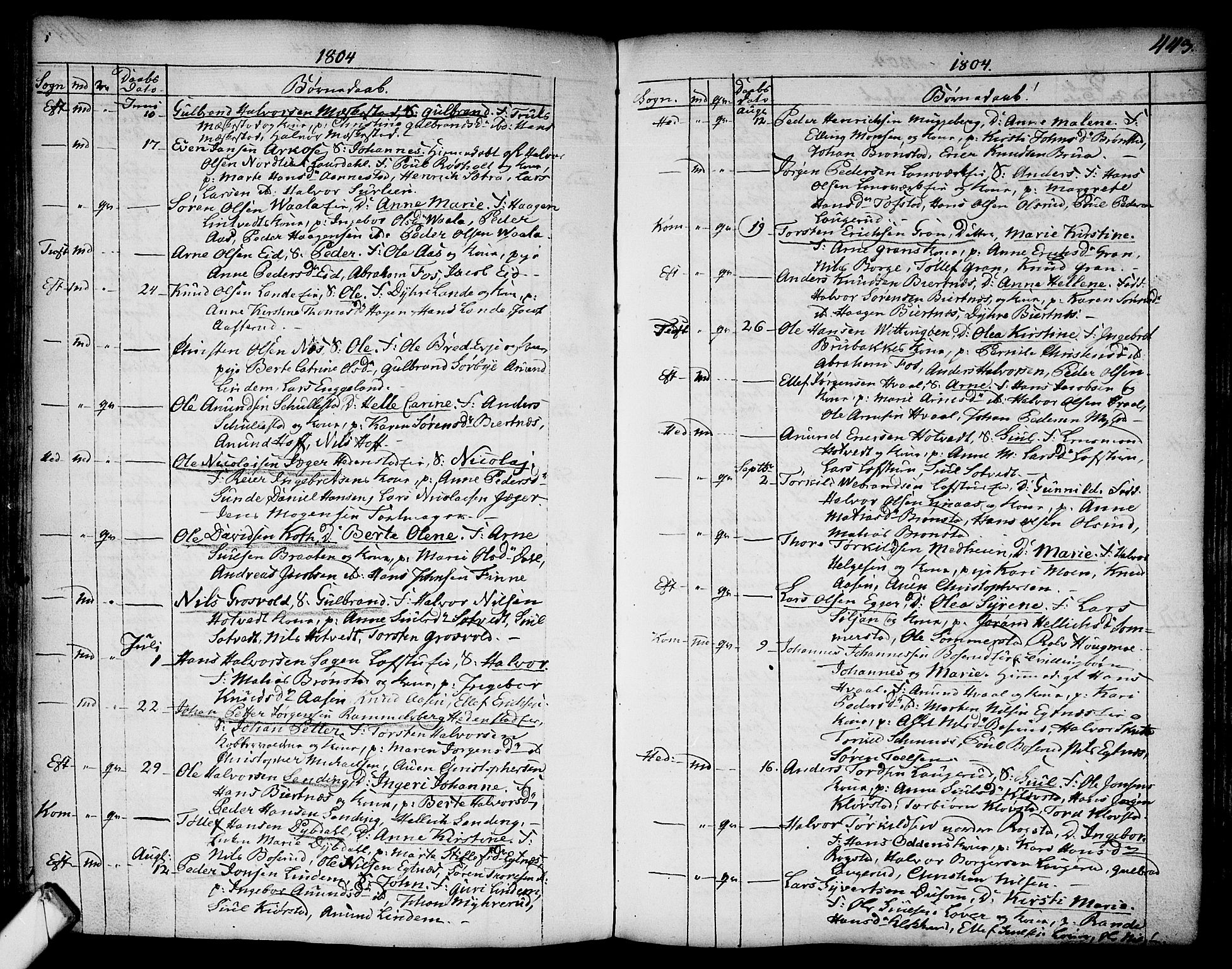 Sandsvær kirkebøker, AV/SAKO-A-244/F/Fa/L0002a: Parish register (official) no. I 2, 1725-1809, p. 443