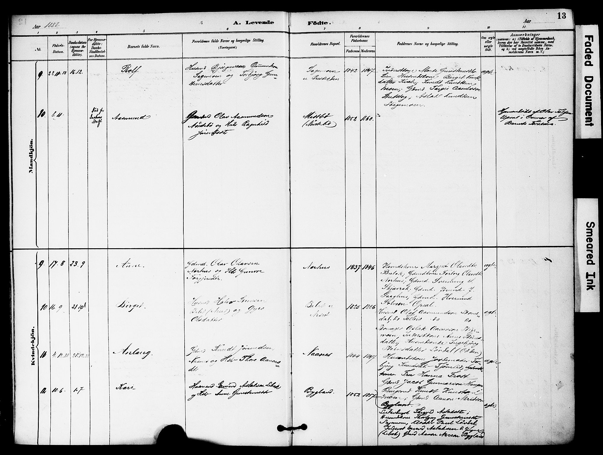 Bygland sokneprestkontor, SAK/1111-0006/F/Fa/Fab/L0007: Parish register (official) no. A 7, 1885-1909, p. 13