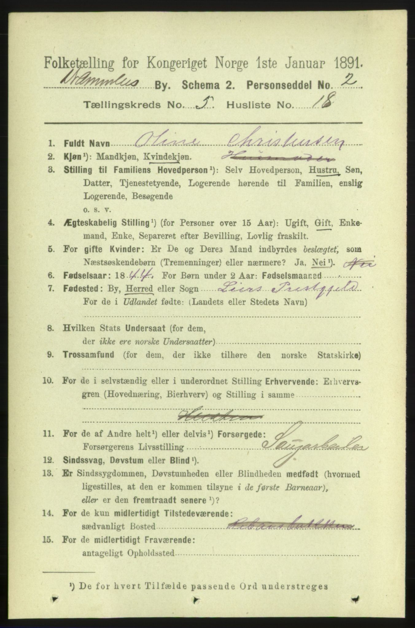 RA, 1891 census for 0602 Drammen, 1891, p. 5854