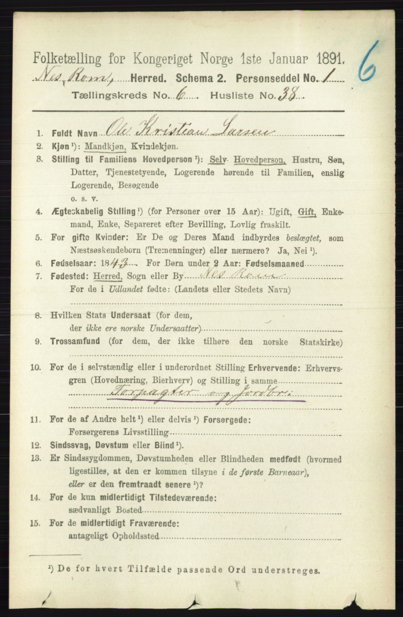 RA, 1891 census for 0236 Nes, 1891, p. 3617