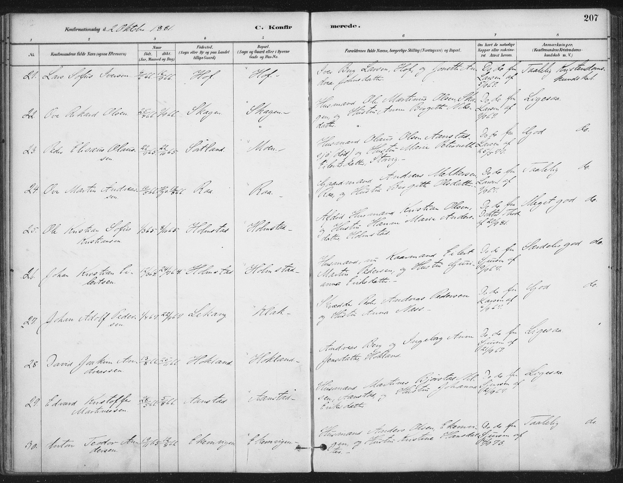 Ministerialprotokoller, klokkerbøker og fødselsregistre - Nordland, AV/SAT-A-1459/888/L1244: Parish register (official) no. 888A10, 1880-1890, p. 207