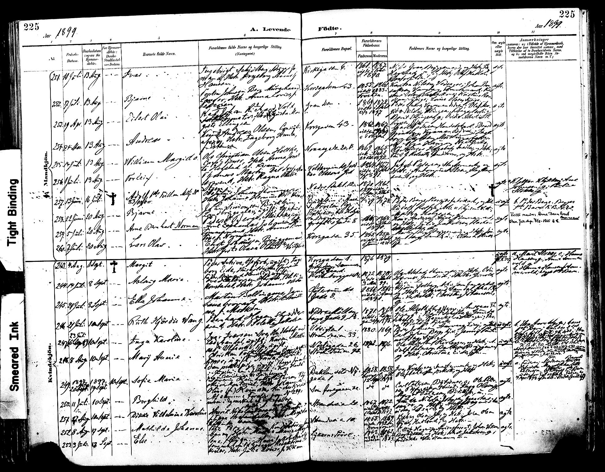 Ministerialprotokoller, klokkerbøker og fødselsregistre - Sør-Trøndelag, SAT/A-1456/604/L0197: Parish register (official) no. 604A18, 1893-1900, p. 225
