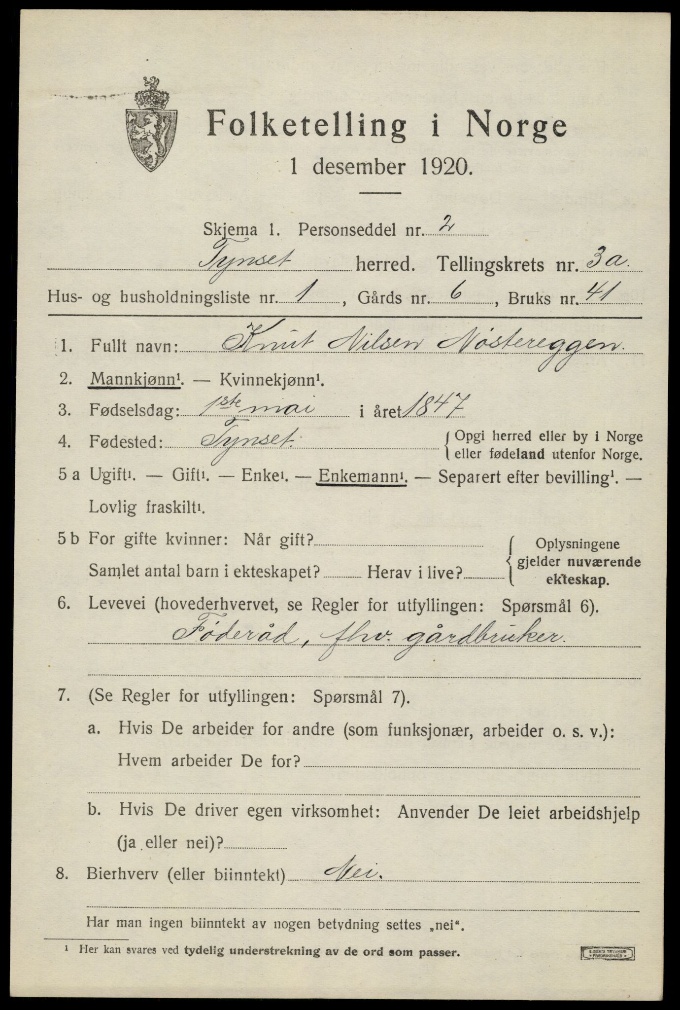 SAH, 1920 census for Tynset, 1920, p. 2902