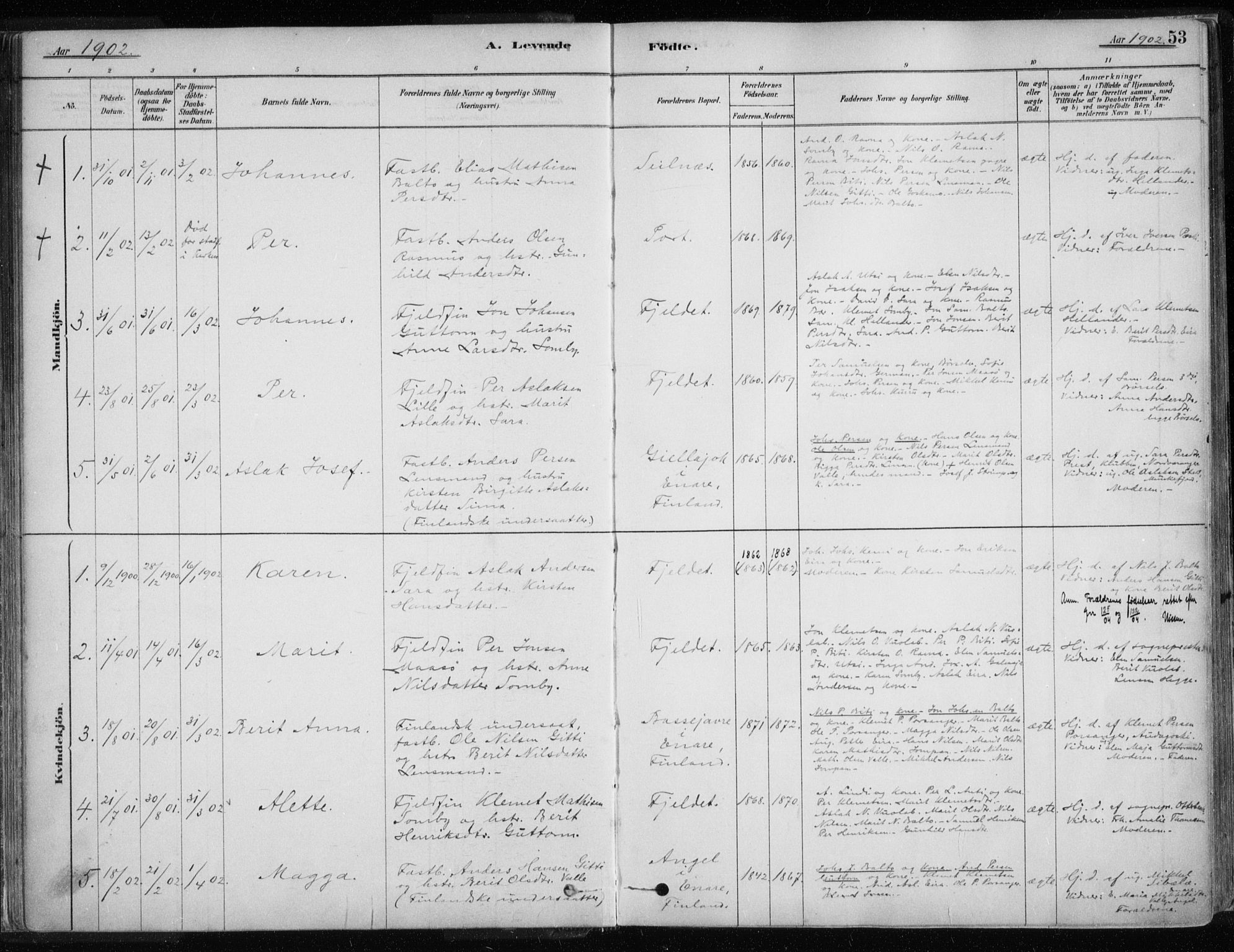 Karasjok sokneprestkontor, AV/SATØ-S-1352/H/Ha/L0002kirke: Parish register (official) no. 2, 1885-1906, p. 53